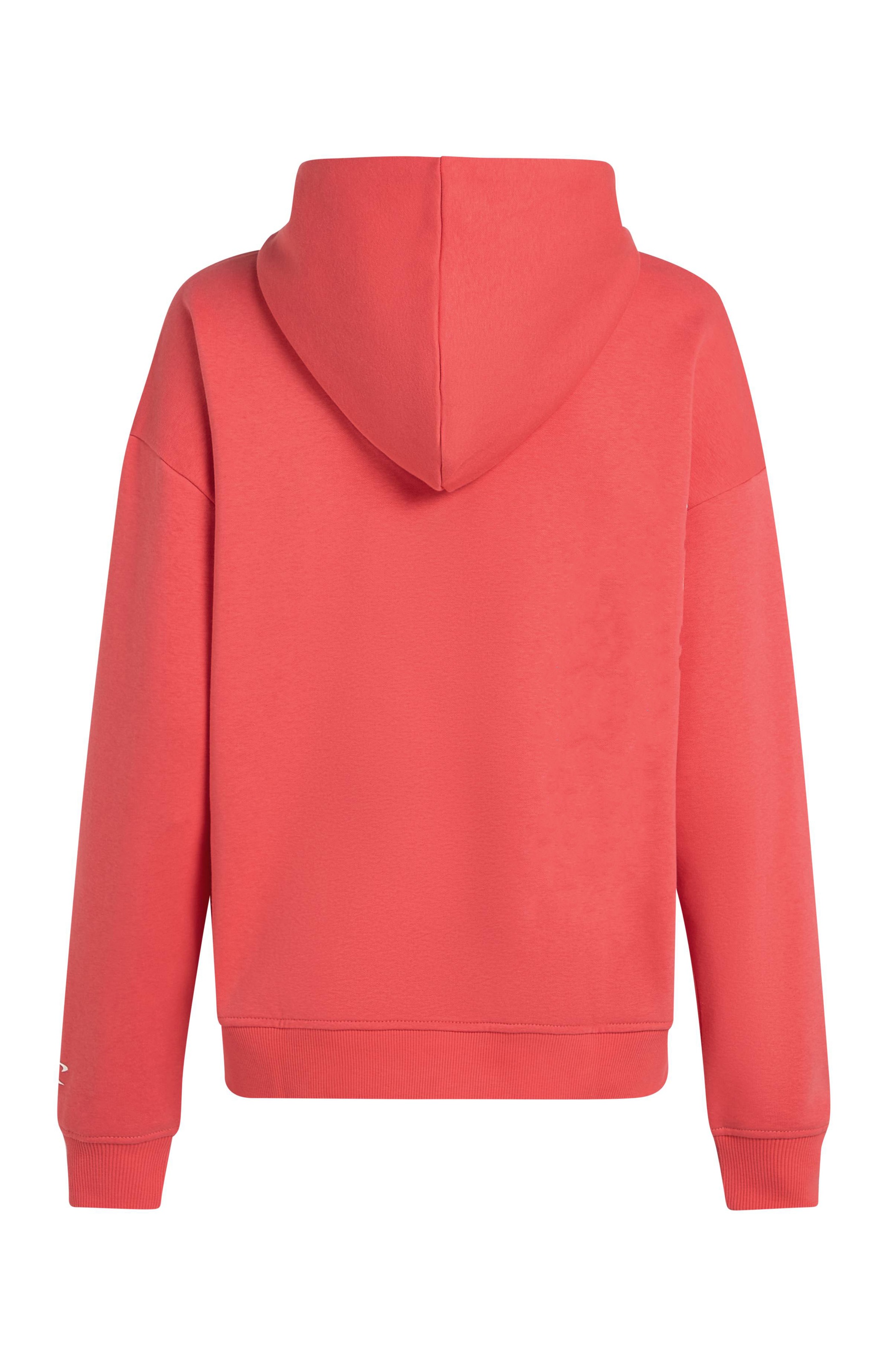 O'Neill Kapuzensweatshirt »Future Surf Society Hoodie«
