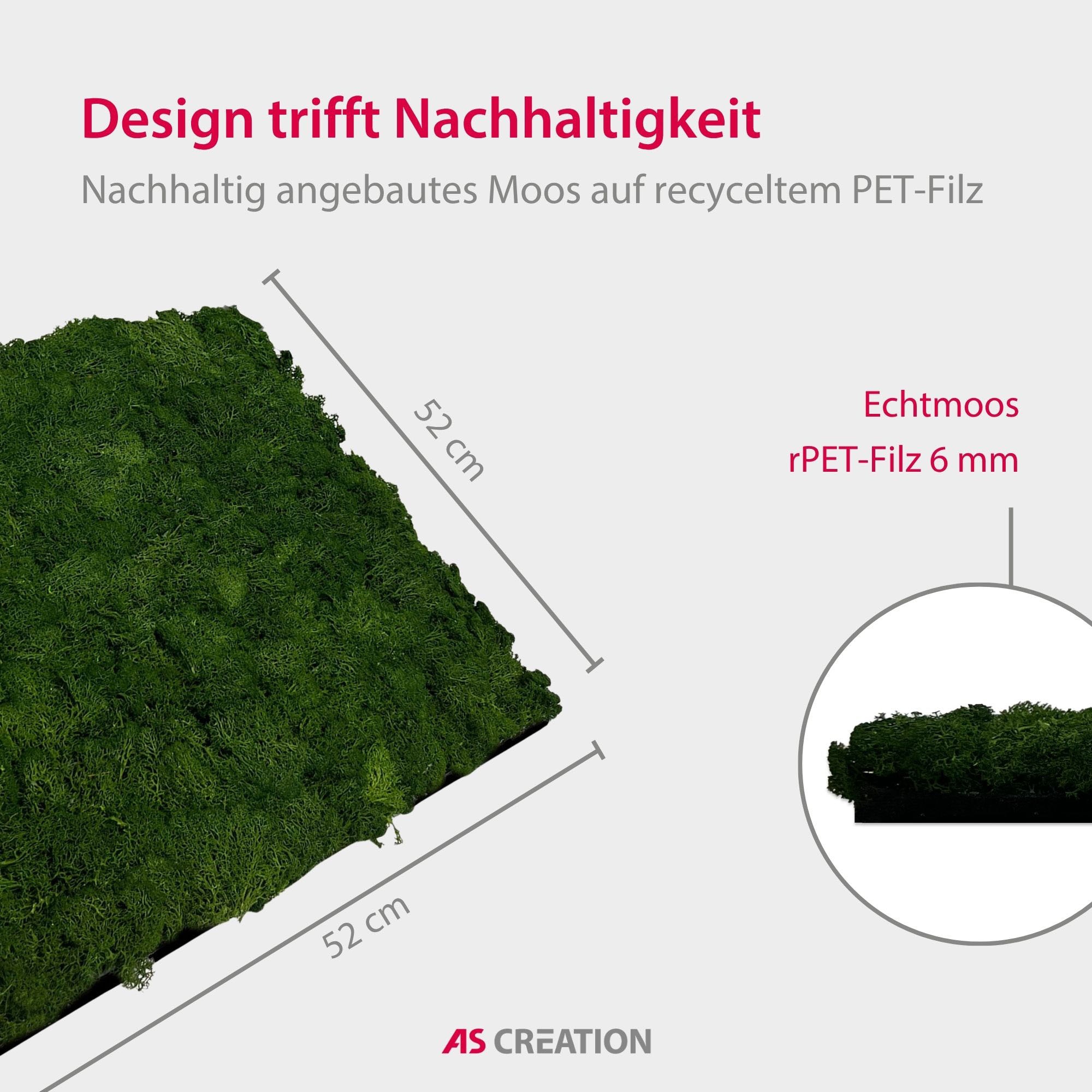 Architects Paper Wandpaneel »A.S. Création Modular Wall Wandpaneel Naturmoos« 1 tlg. Konserviertes Naturmoos auf rPET-Filz – pflegeleicht ohne Gießen