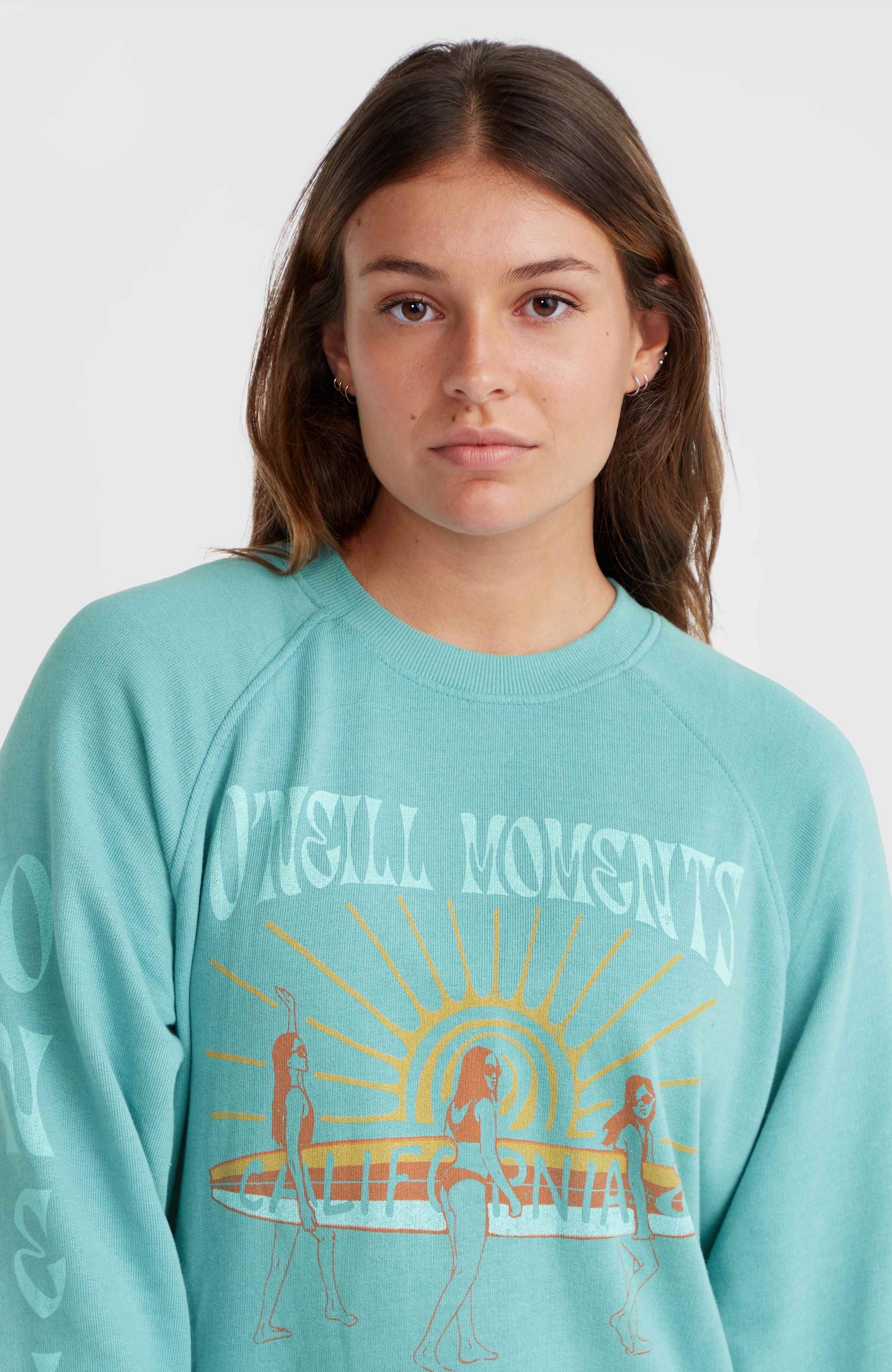 O'Neill Sweatshirt »O'NEILL BEACH VINTAGE CREW«, mit Rundhalsausschnitt