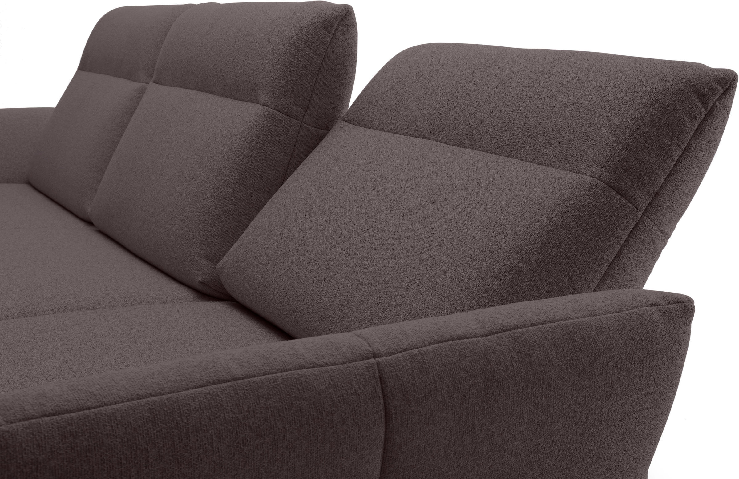 Creation BY ROLF BENZ Ecksofa »CR.460« Sockel in Eiche, Winkelfüße in Umbragrau, Breite 338 cm