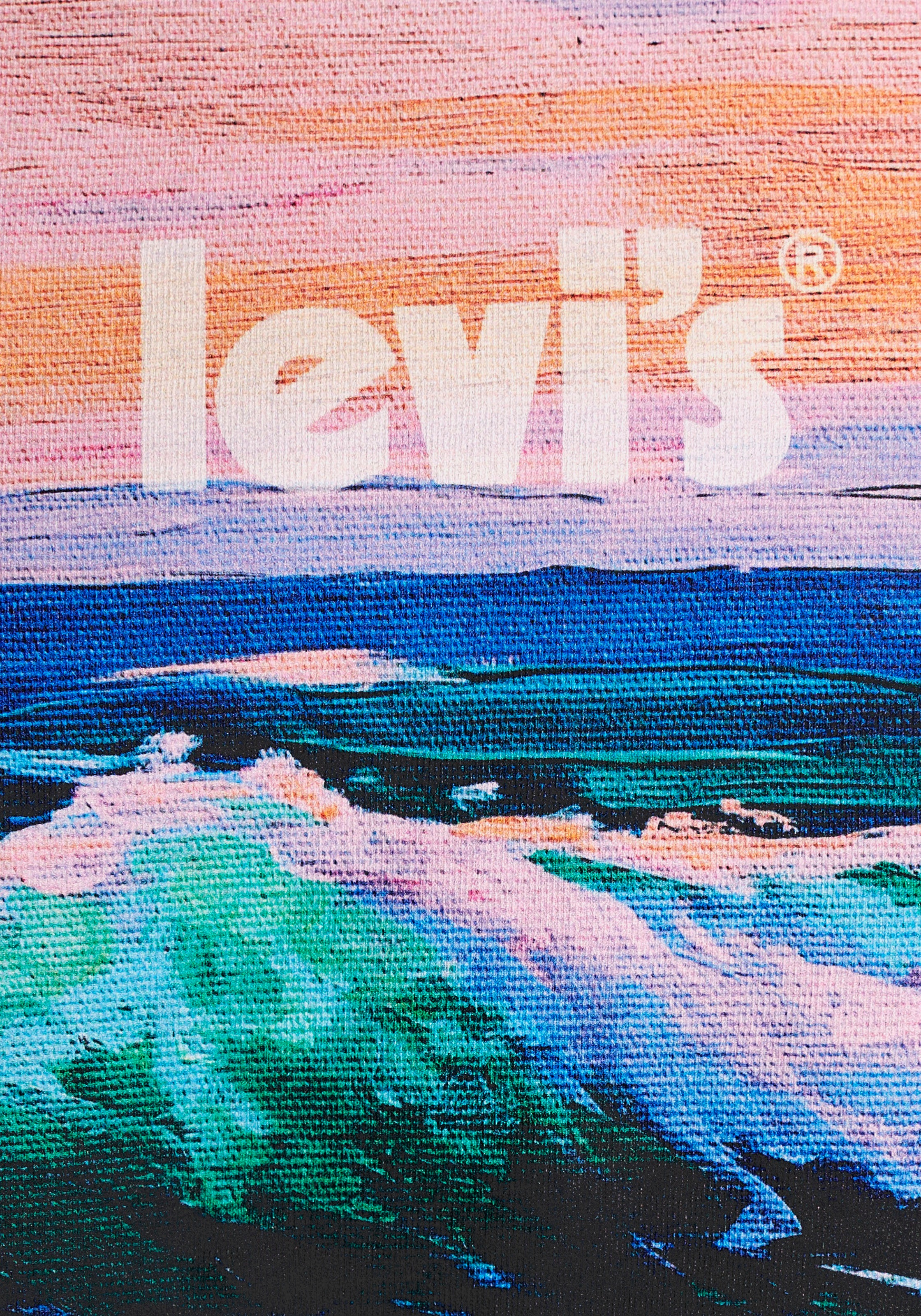 Levi's® T-Shirt »SS RELAXED FIT TEE«, mit großem Frontprint