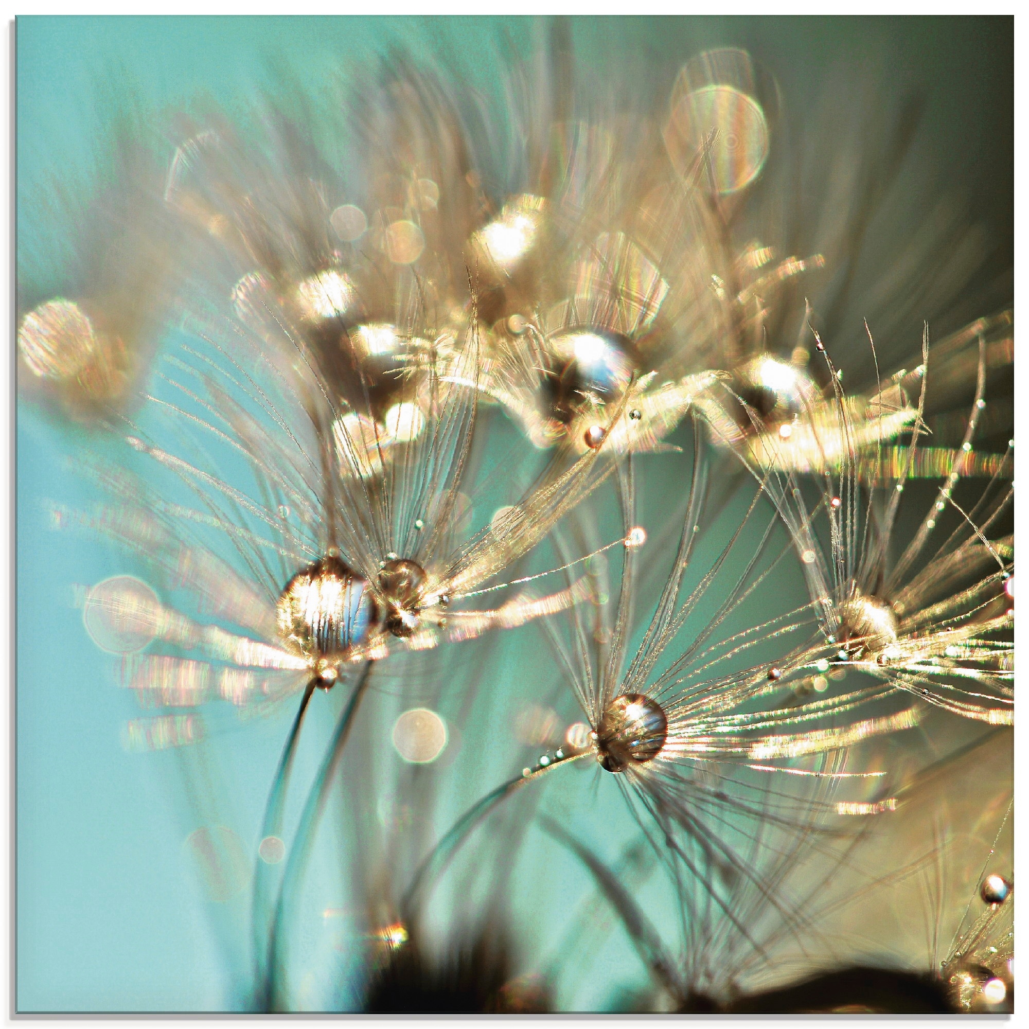 Artland Glasbild »Pusteblume glänzendes Gold«, Blumen, (1 St.), in verschiedenen Größen