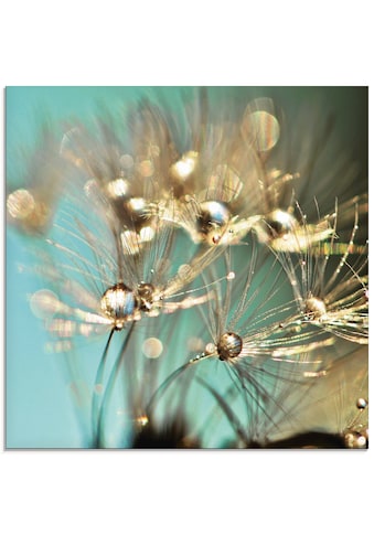 Glasbild »Pusteblume glänzendes Gold«, Blumen, (1 St.)