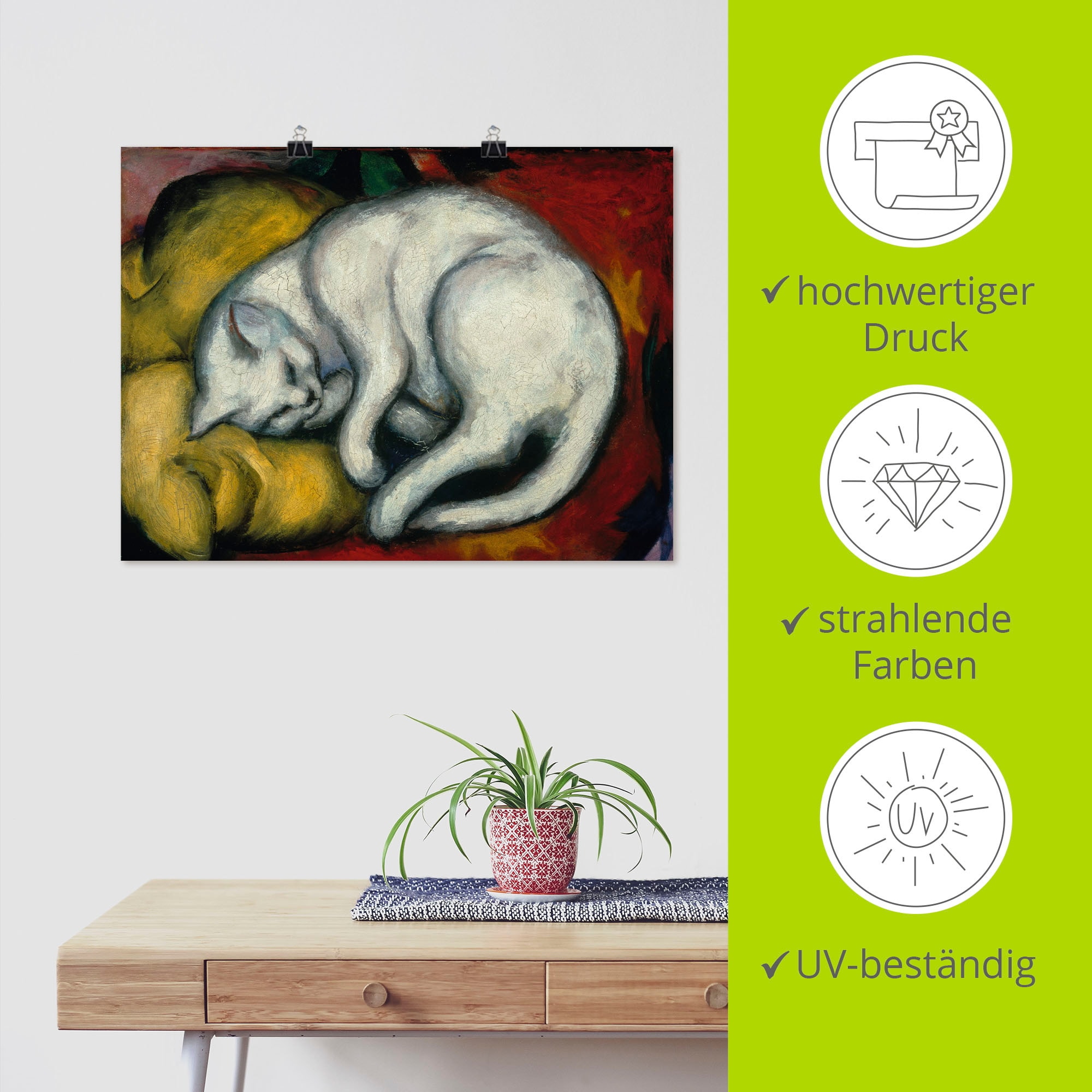 Artland Wandbild »Die weisse Katze. 1912« Haustiere 1 Stk. tlg. als Alubild, Outdoorbild, Leinwandbild, Poster in verschied. Größen