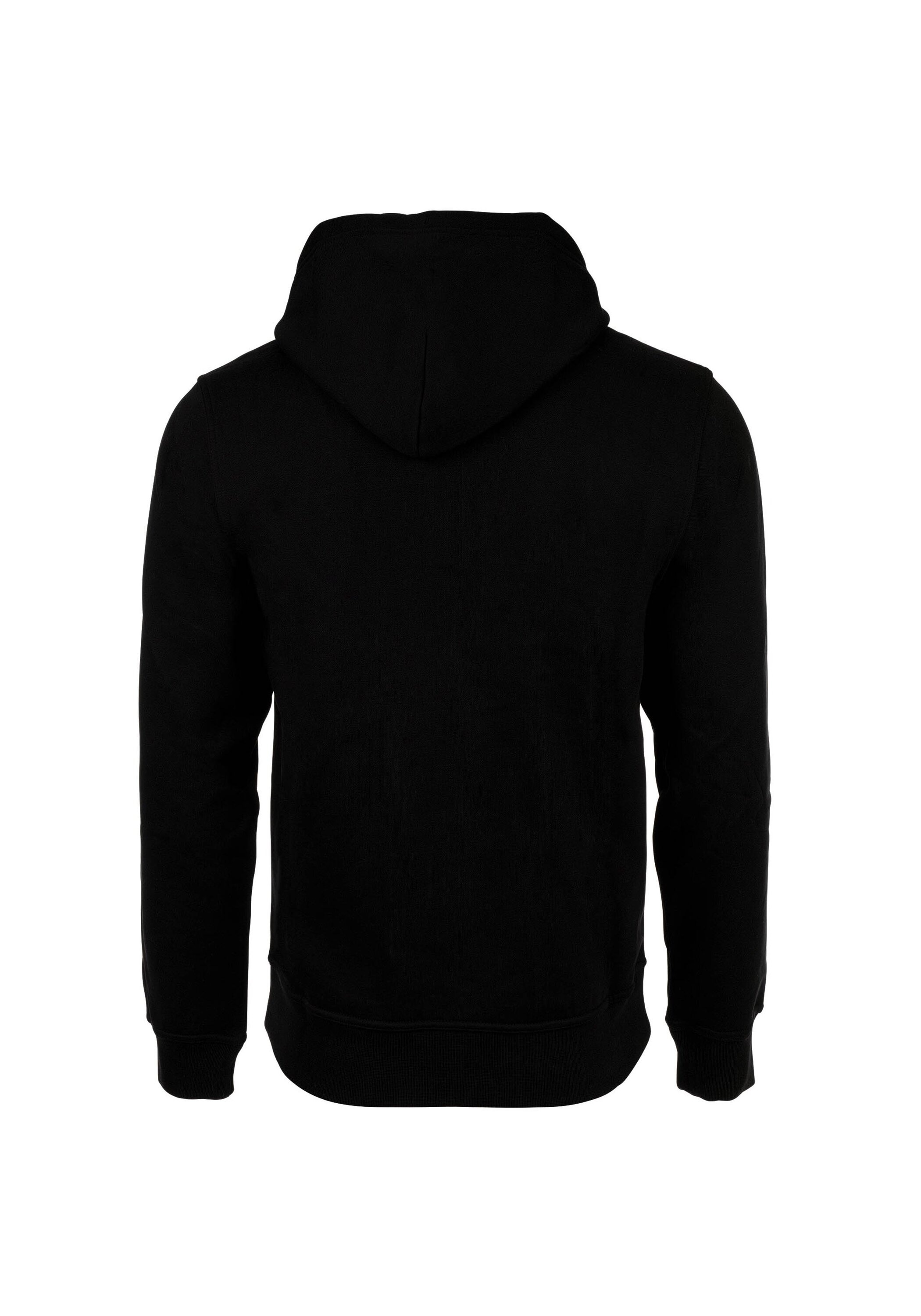 Champion Sweatshirt »Sweatshirt Hooded Sweatshirt«