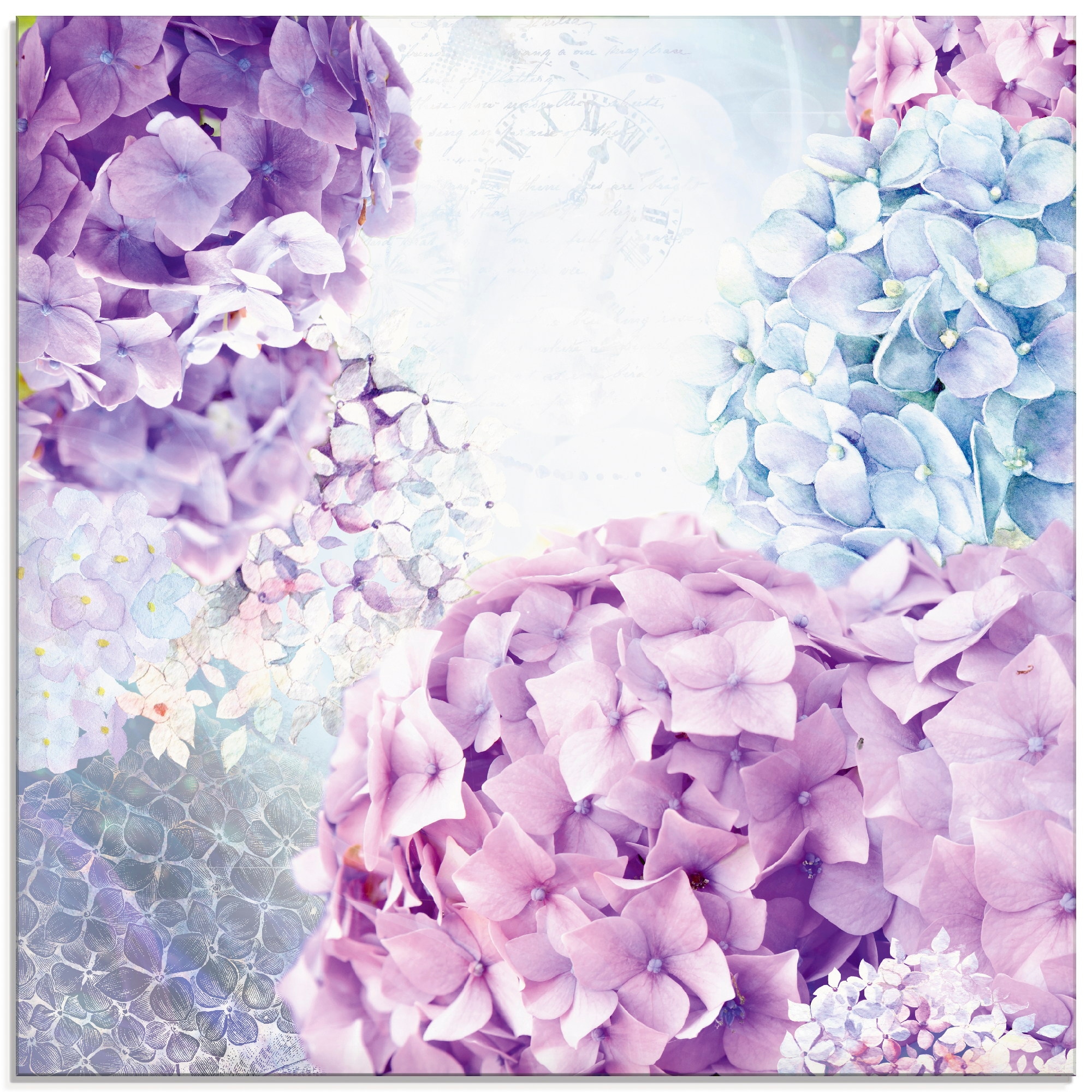 Glasbild »Blau und Pink Hortensie«, Blumen, (1 St.), in verschiedenen Größen