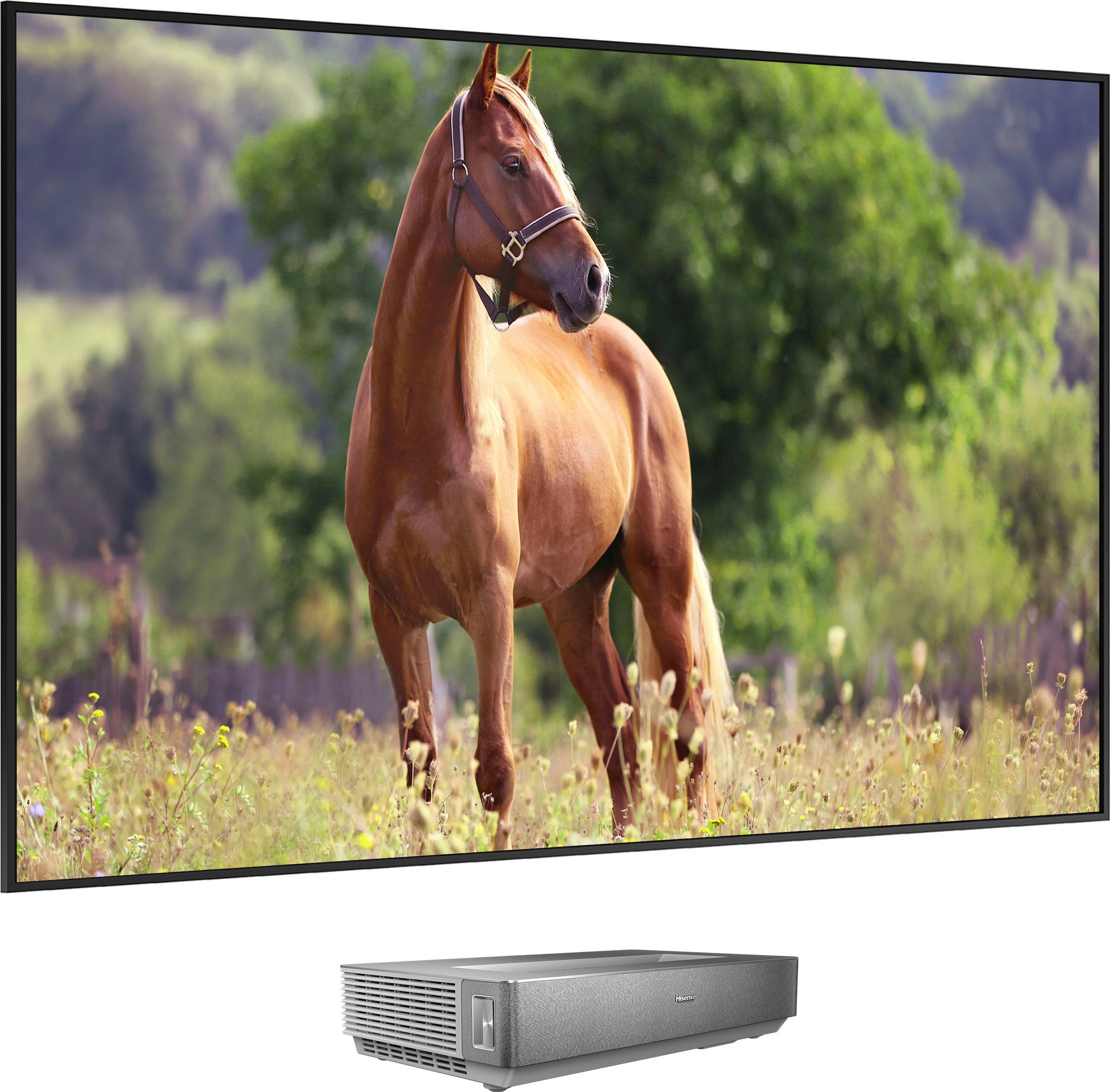 Hisense Laser-TV »Hisense 100L5HD Daylight Screen (100 Zoll) Laser TV Projektor«, 4K, HDR, Game Mode, Dolby Atmos