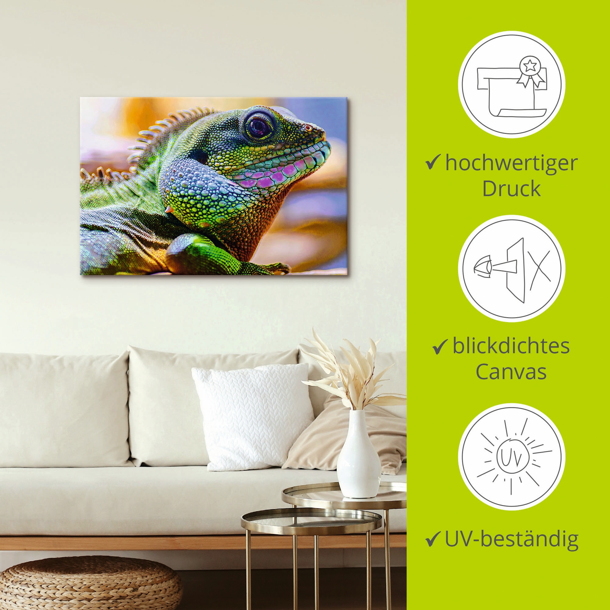 Artland Leinwandbild »Farbiger Kopf eines Leguan«, Reptilien, (1 St.), auf Keilrahmen gespannt