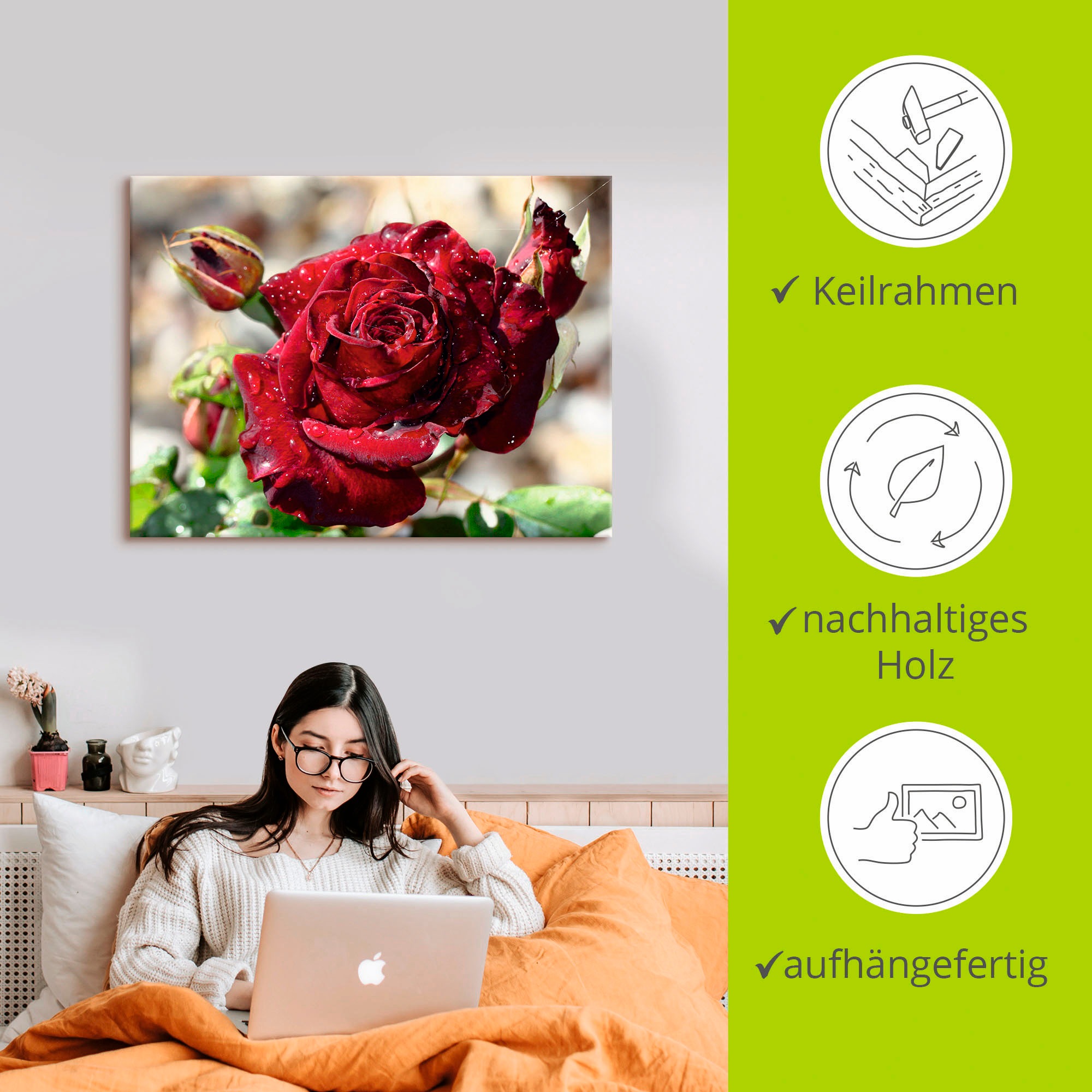 Artland Wandbild »Tröpfchenrose«, Blumen, (1 St.), als Leinwandbild, Poster, Wandaufkleber in verschied. Größen
