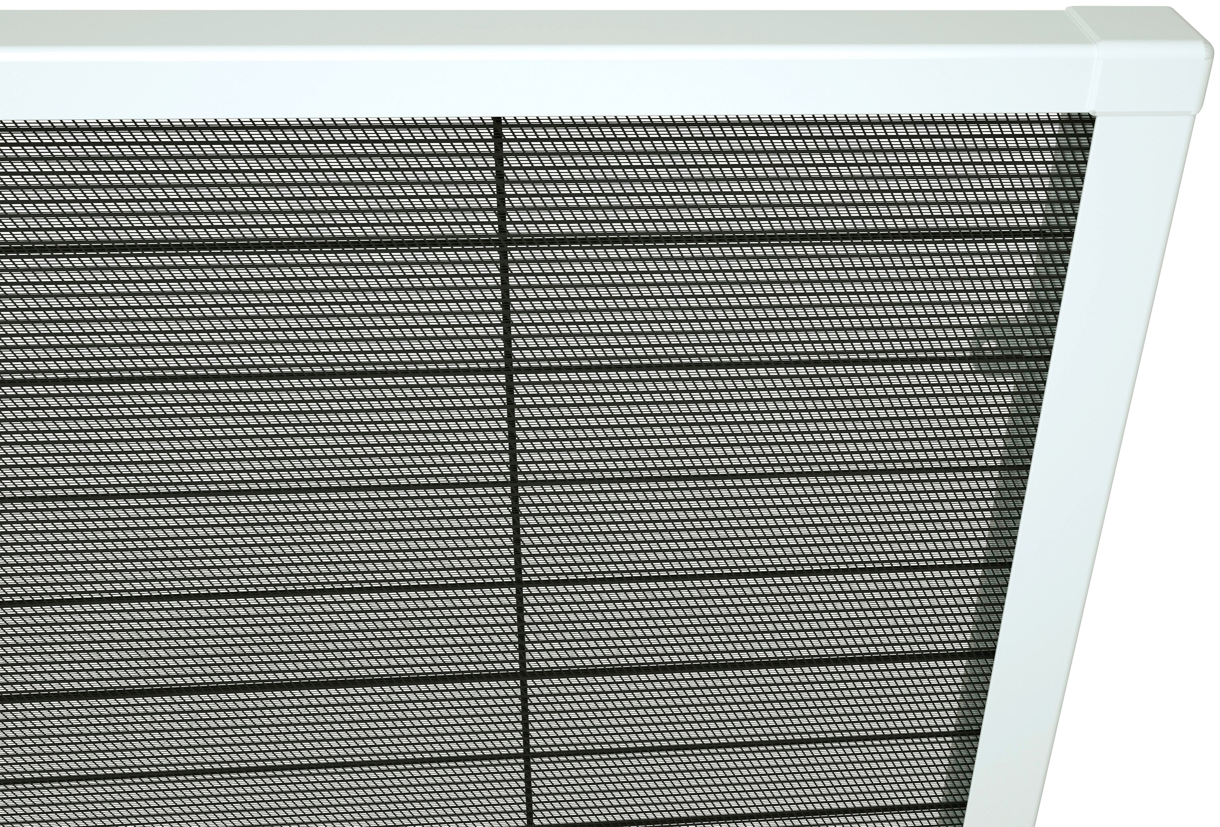 weiß/anthrazit, online Dachfenster«, »für 110x160 bei hecht international transparent, cm Insektenschutzrollo kaufen BxH: OTTO