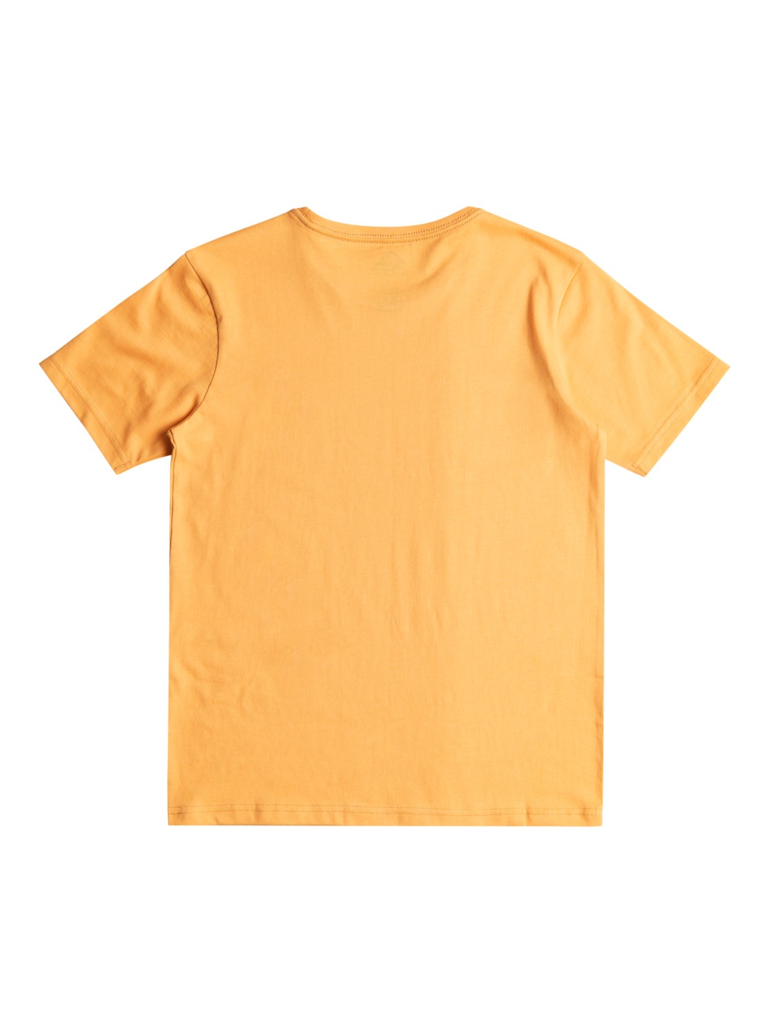 Quiksilver T-Shirt »Basic«