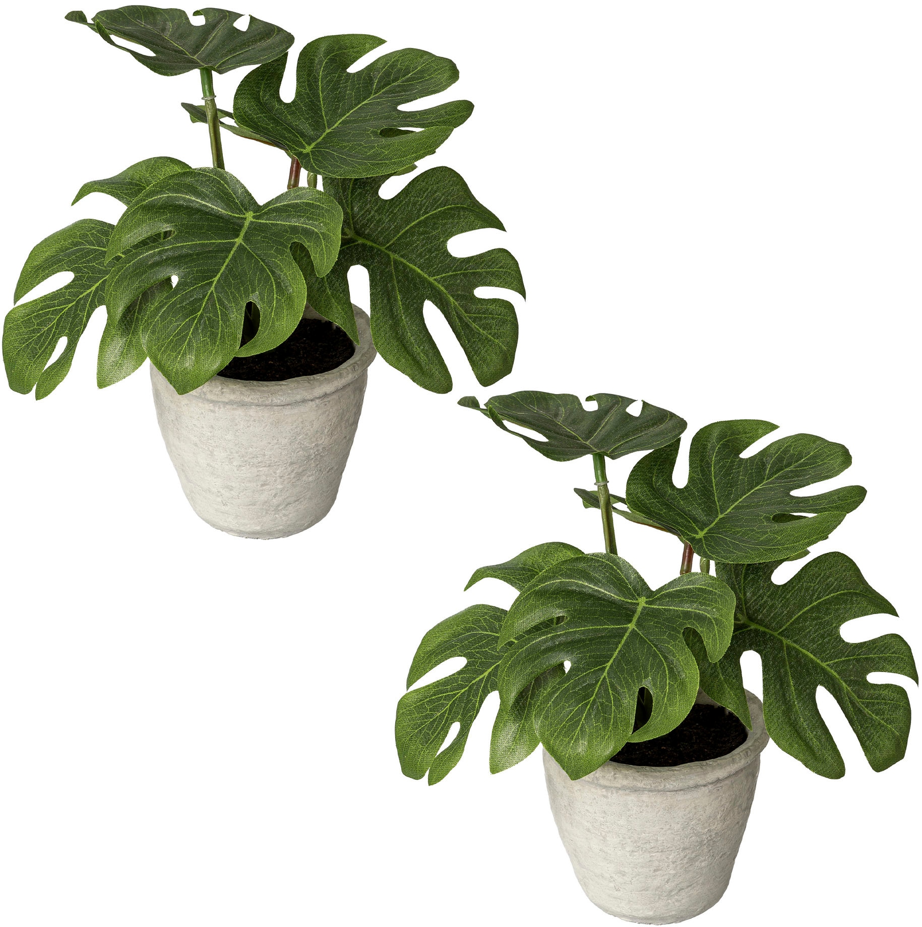 Creativ green Zimmerpflanze Splitphilodendron«, Künstliche bestellen OTTO bei im »Blattpflanze St.), Paperpot (2