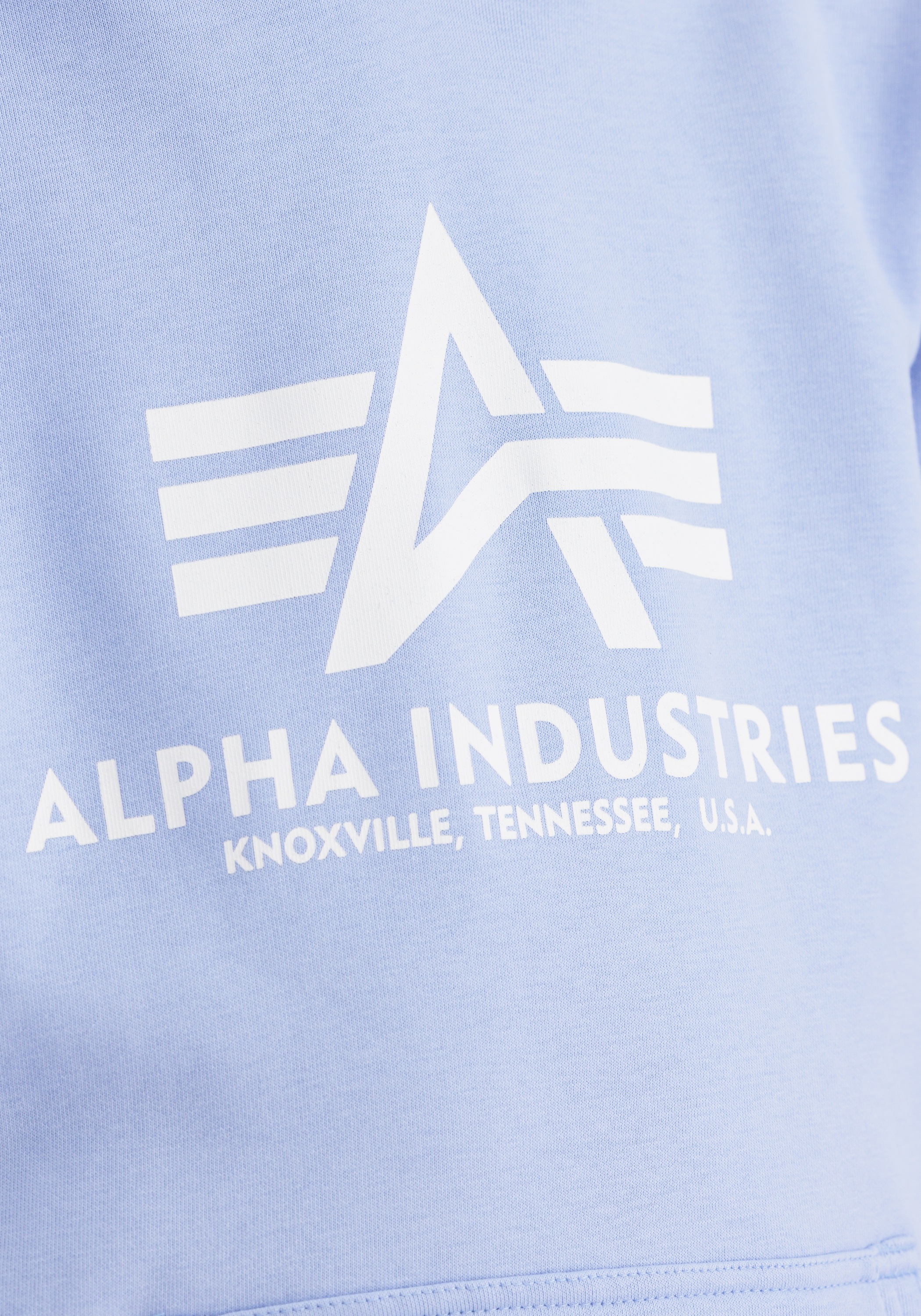 Alpha Industries Hoodie »Alpha Industries Kids - Hoodies Basic Hoodie BL K«
