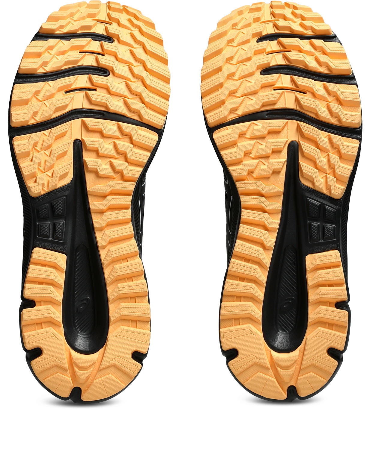 Asics Trailrunningschuh »TRAIL SCOUT 3«