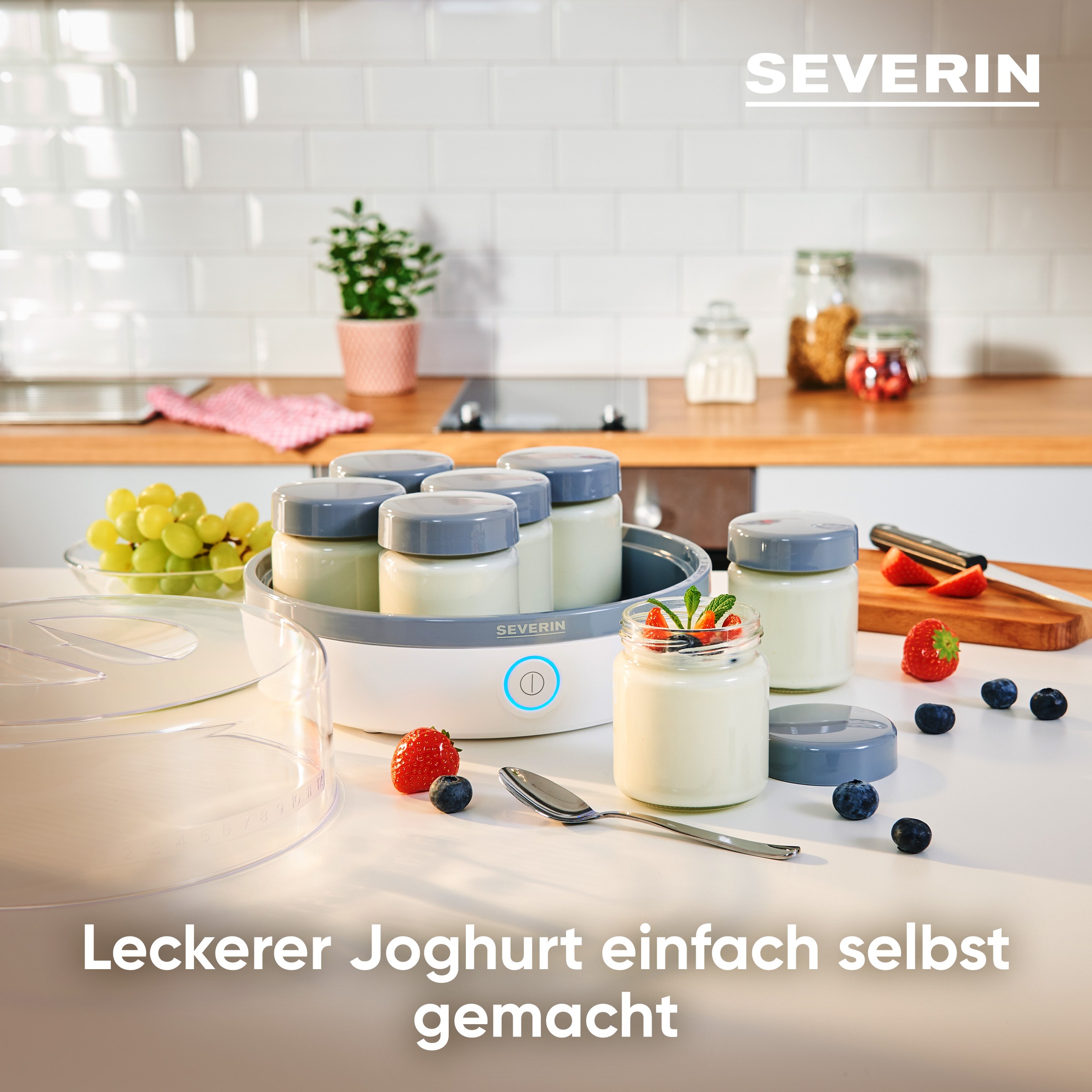 Severin Joghurtbereiter »JG 3518« 7 Portionsbehälter je 150 ml