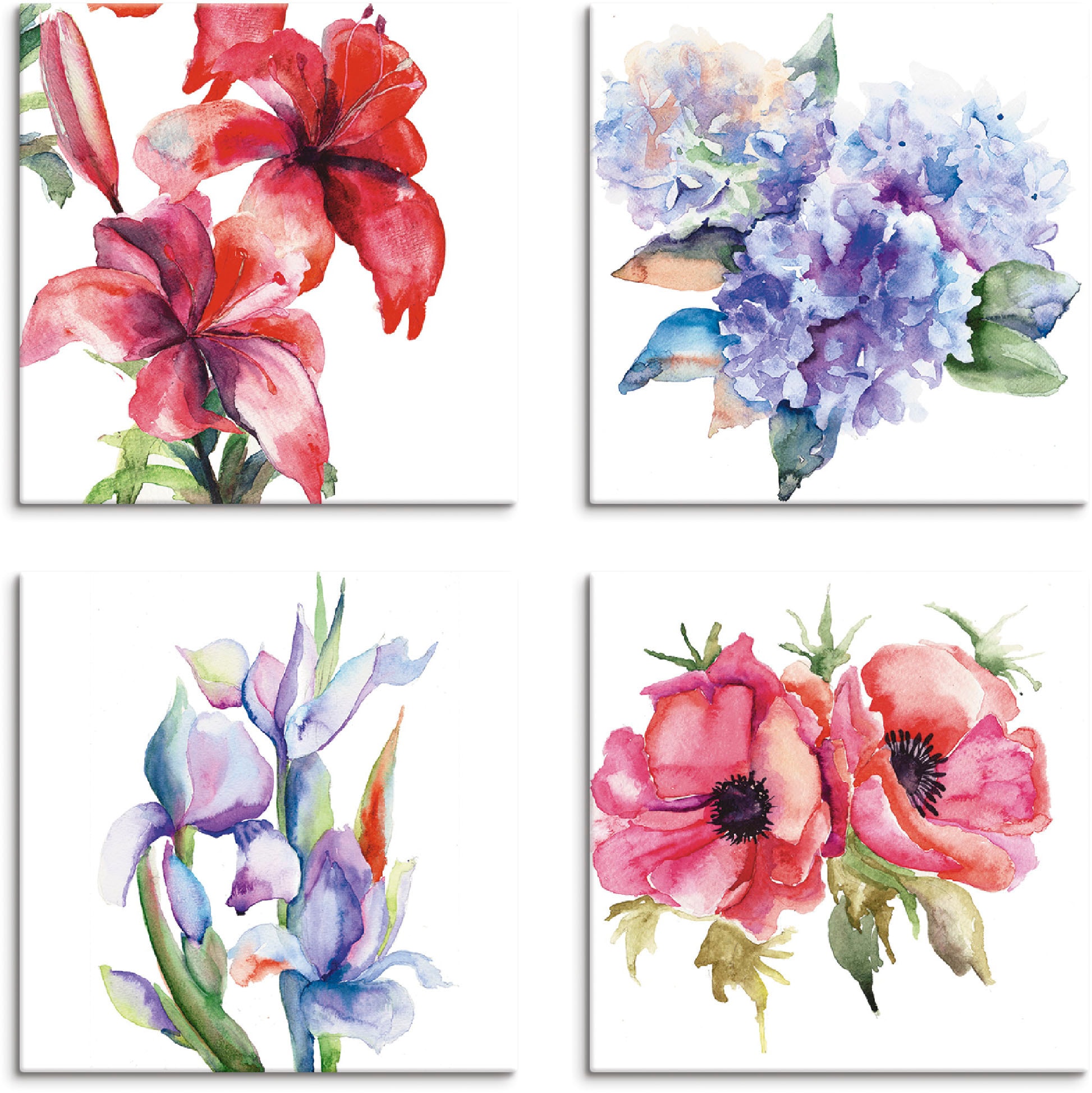 Mohnblumen »Lilien verschiedene Größen Leinwandbild Iris Blumen, Shop (4 im 4er Artland Hortensien«, St.), OTTO Online Set,