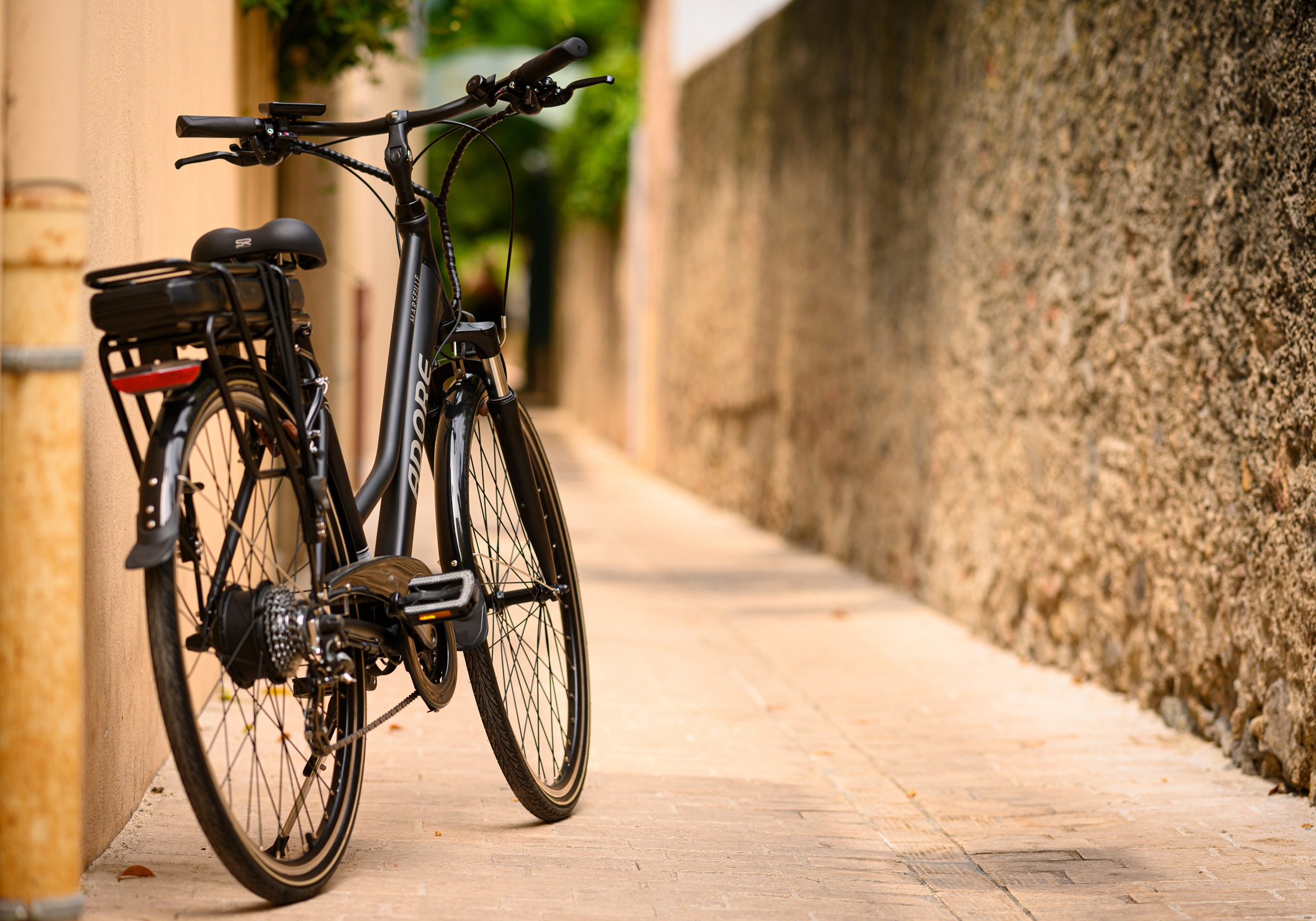 Adore E-Bike »Partnerset Marseille«, 24 Gang, Shimano, Altus, Heckmotor 250 W, (Spar-Set, 2 tlg.), Pedelec, Elektrofahrrad für Damen