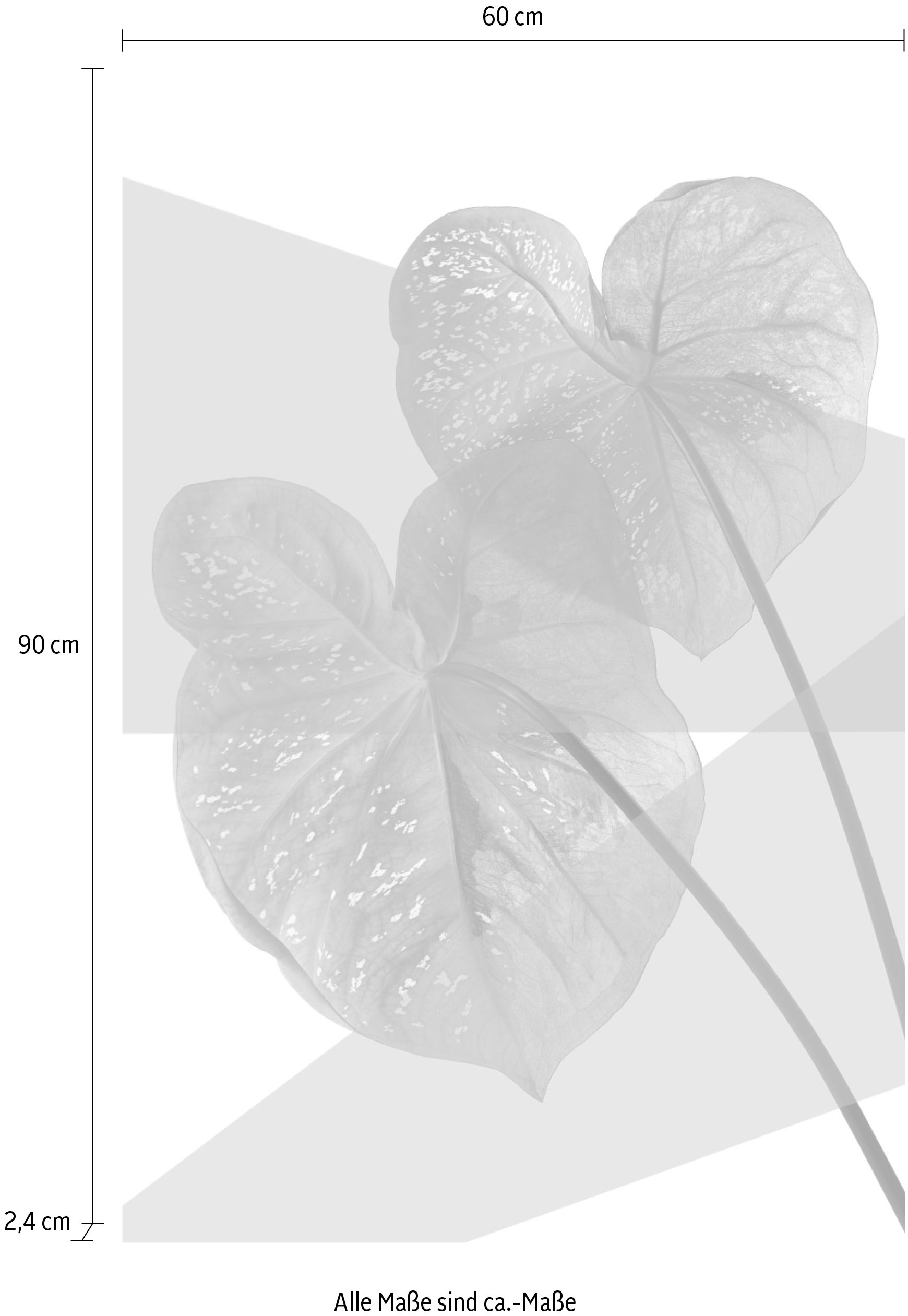 queence Acrylglasbild »Blätter« Blätter | Blätterbilder | Kunst | Pflanzen | Pflanzenbilder Fine Art-Print in Galeriequalität