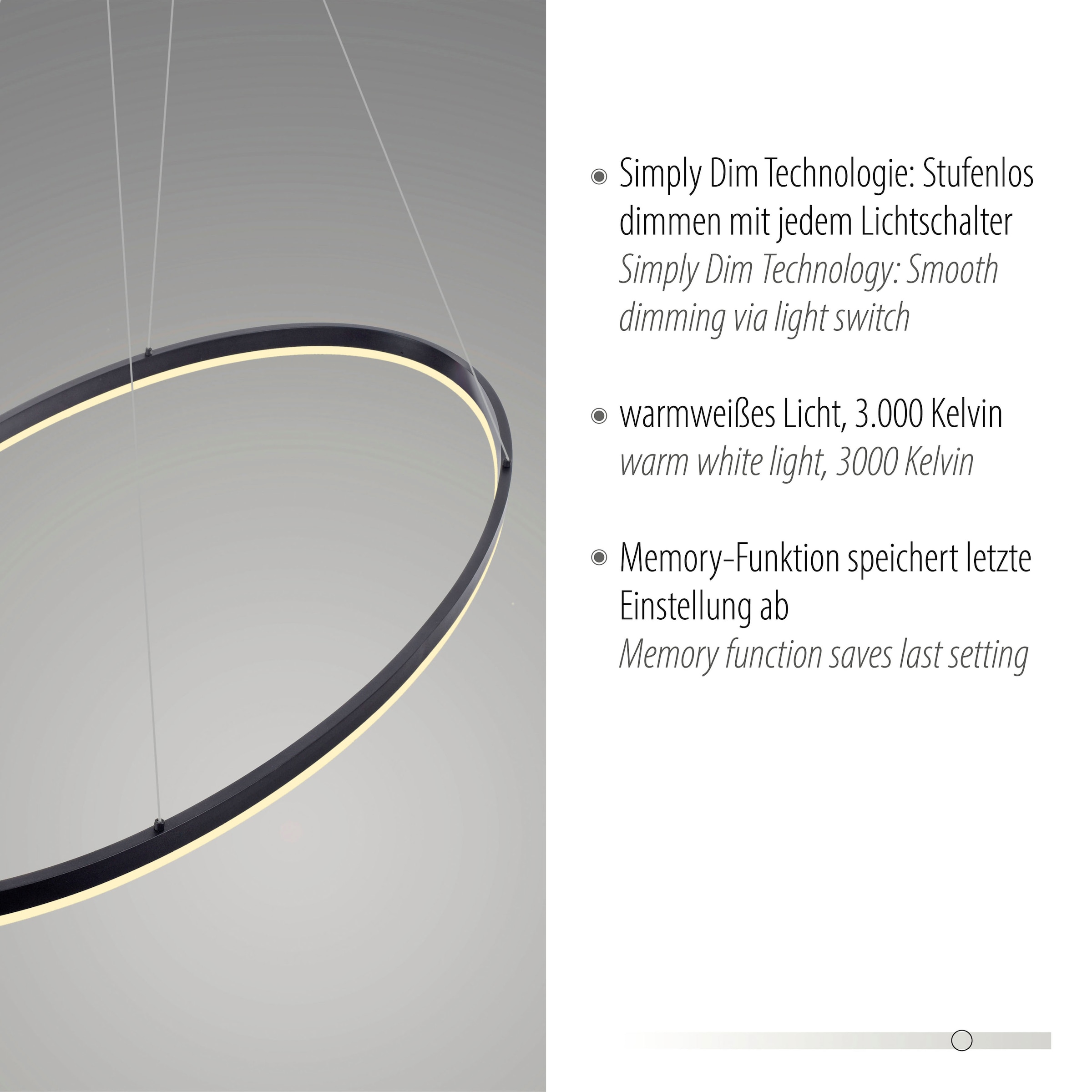 Paul Neuhaus Pendelleuchte »TITUS«, 1 flammig, Leuchtmittel LED-Board | LED fest integriert, LED, Simply Dim