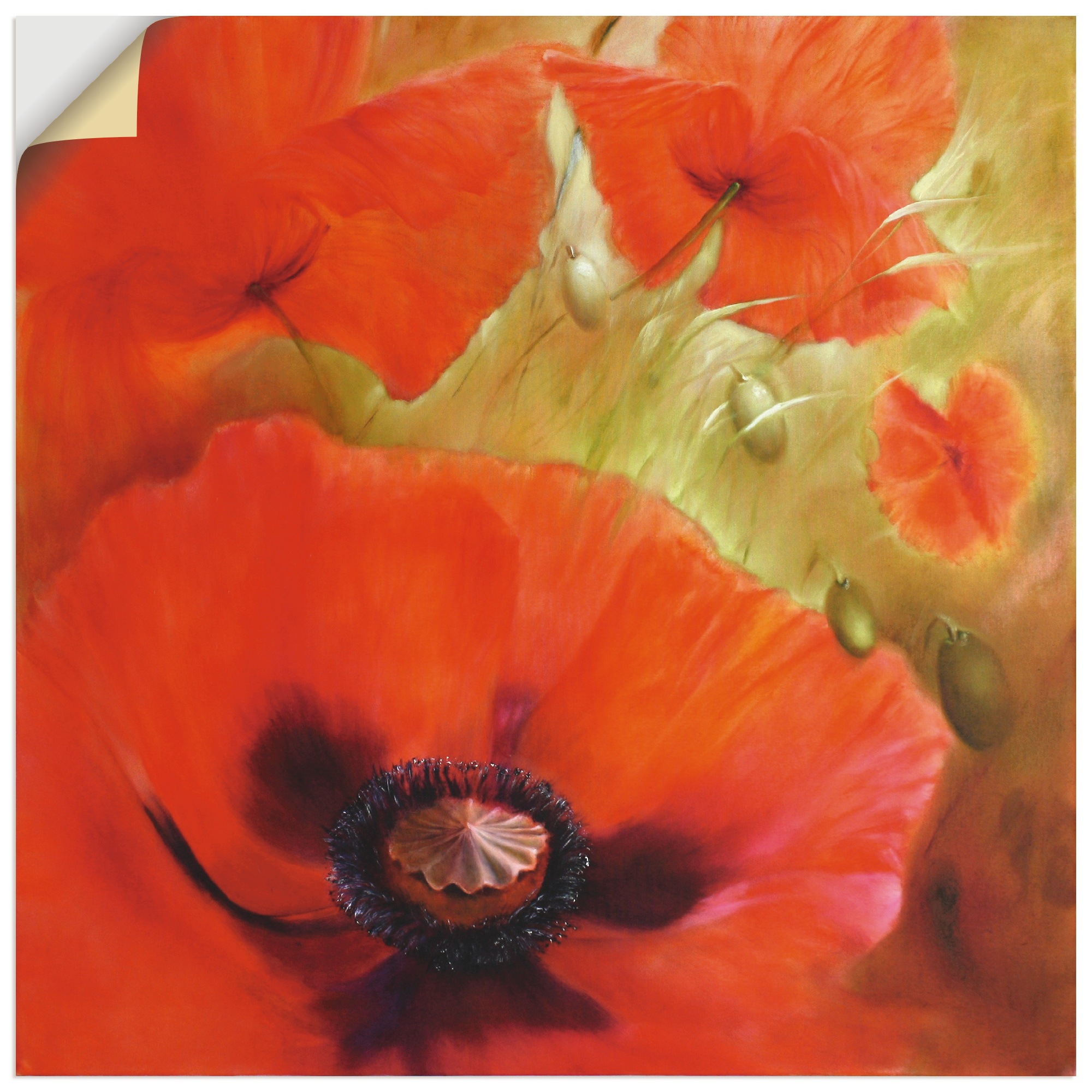 Artland Wandbild »Vier mal Mohn«, Blumen, (1 St.), in vielen Größen & Produktarten - Alubild / Outdoorbild für den Außenbereich, Leinwandbild, Poster, Wandaufkleber / Wandtattoo auch für Badezimmer geeignet
