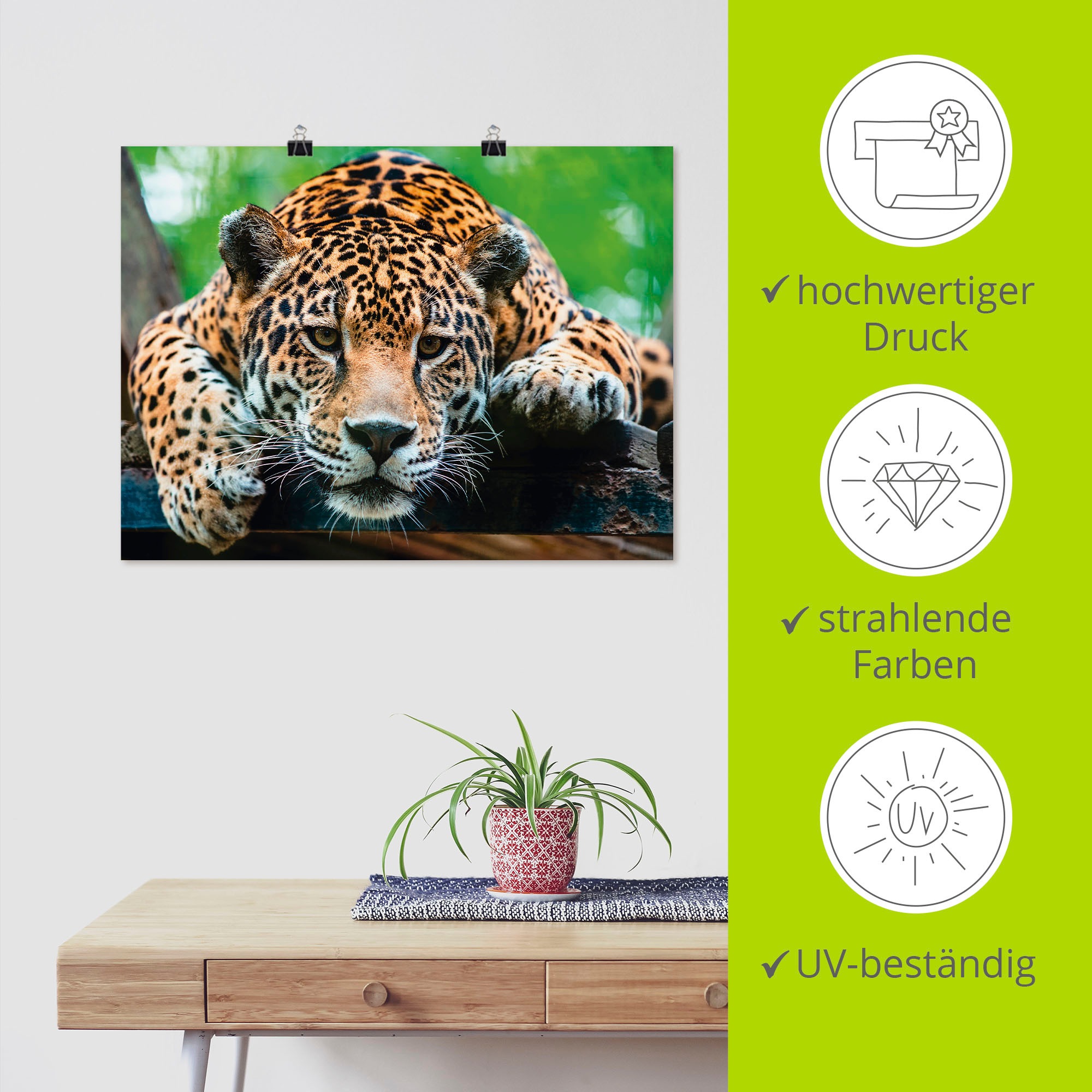 Artland Wandbild »Südamerikanischer Jaguar«, Wildtiere, (1 St.), als Alubild, Outdoorbild, Leinwandbild, Poster, Wandaufkleber