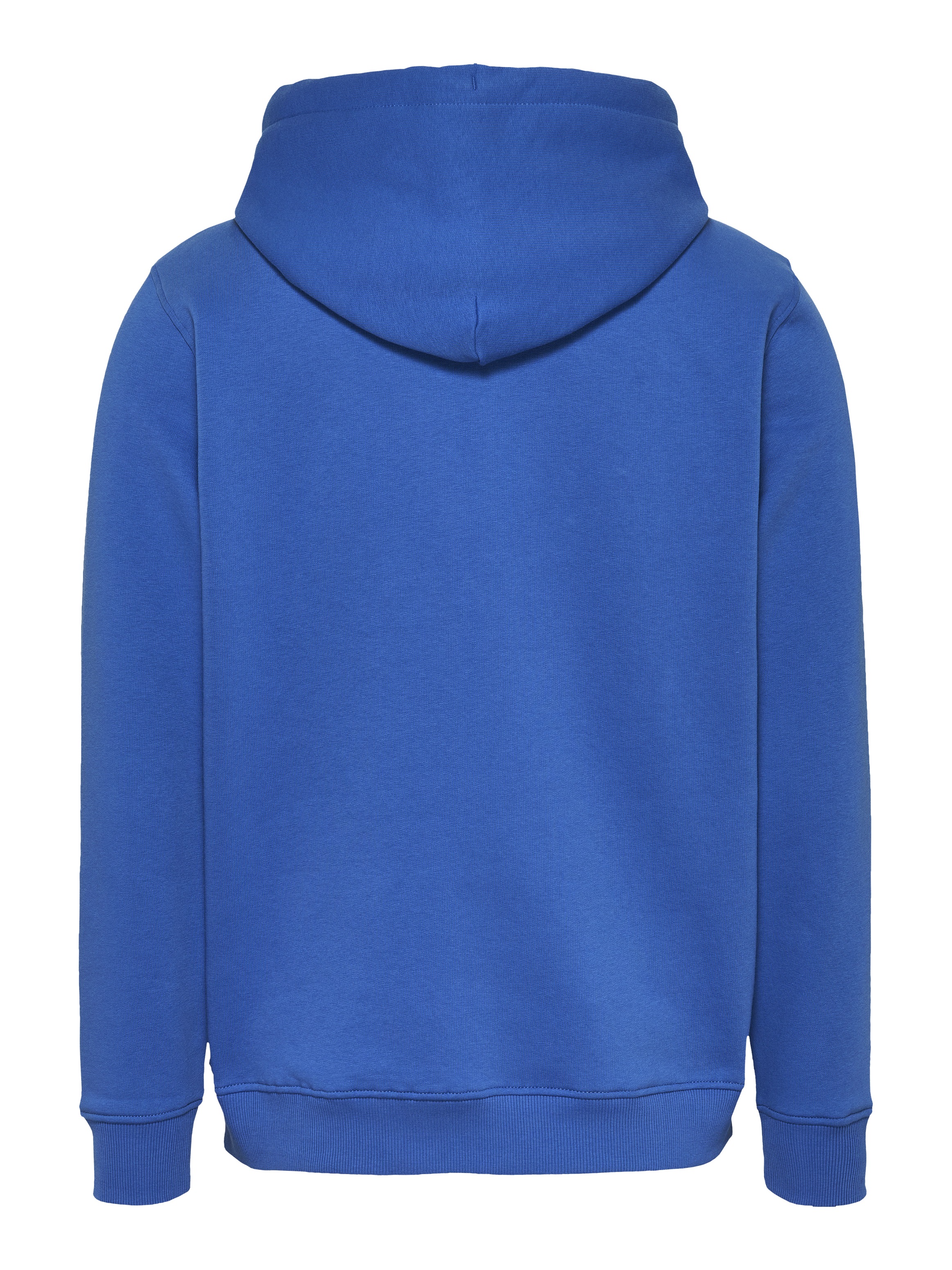 Tommy Jeans Plus Hoodie »TJM REG LINEAR LOGO HOODIE EXT«, in Große Größen, Logodruck