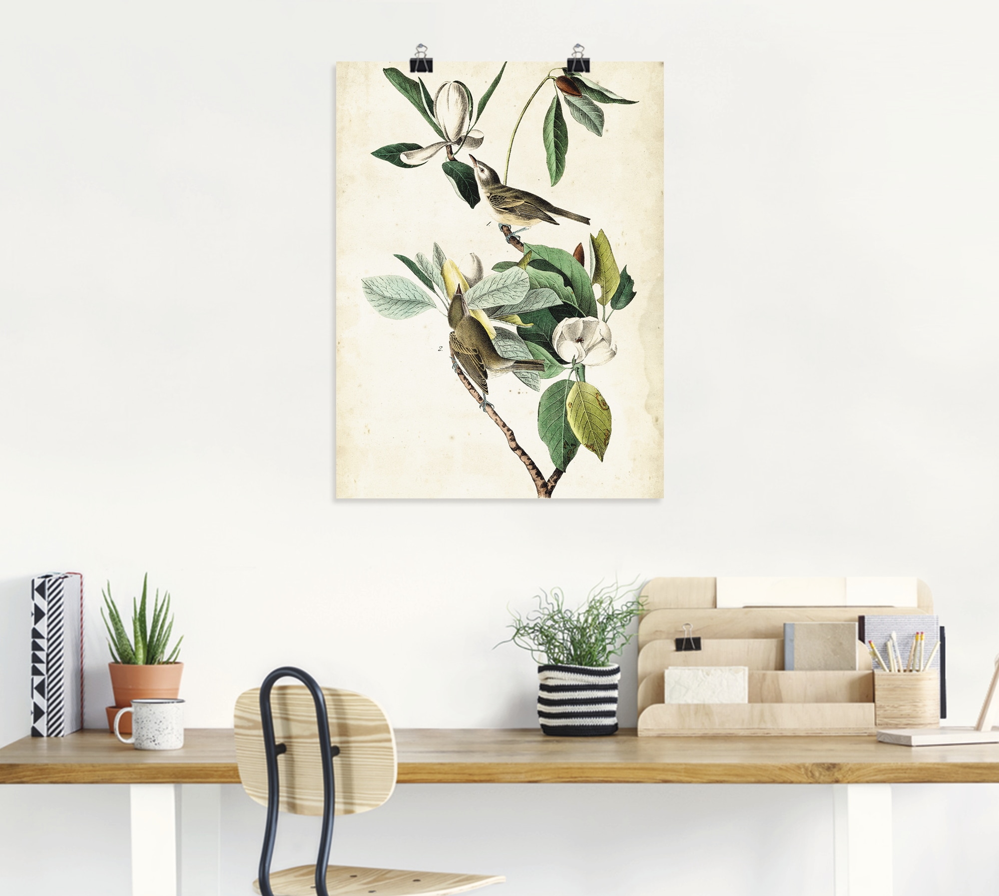 Artland Poster »Sängervireo«, Vögel, (1 St.), als Alubild, Leinwandbild, Wandaufkleber oder Poster in versch. Größen