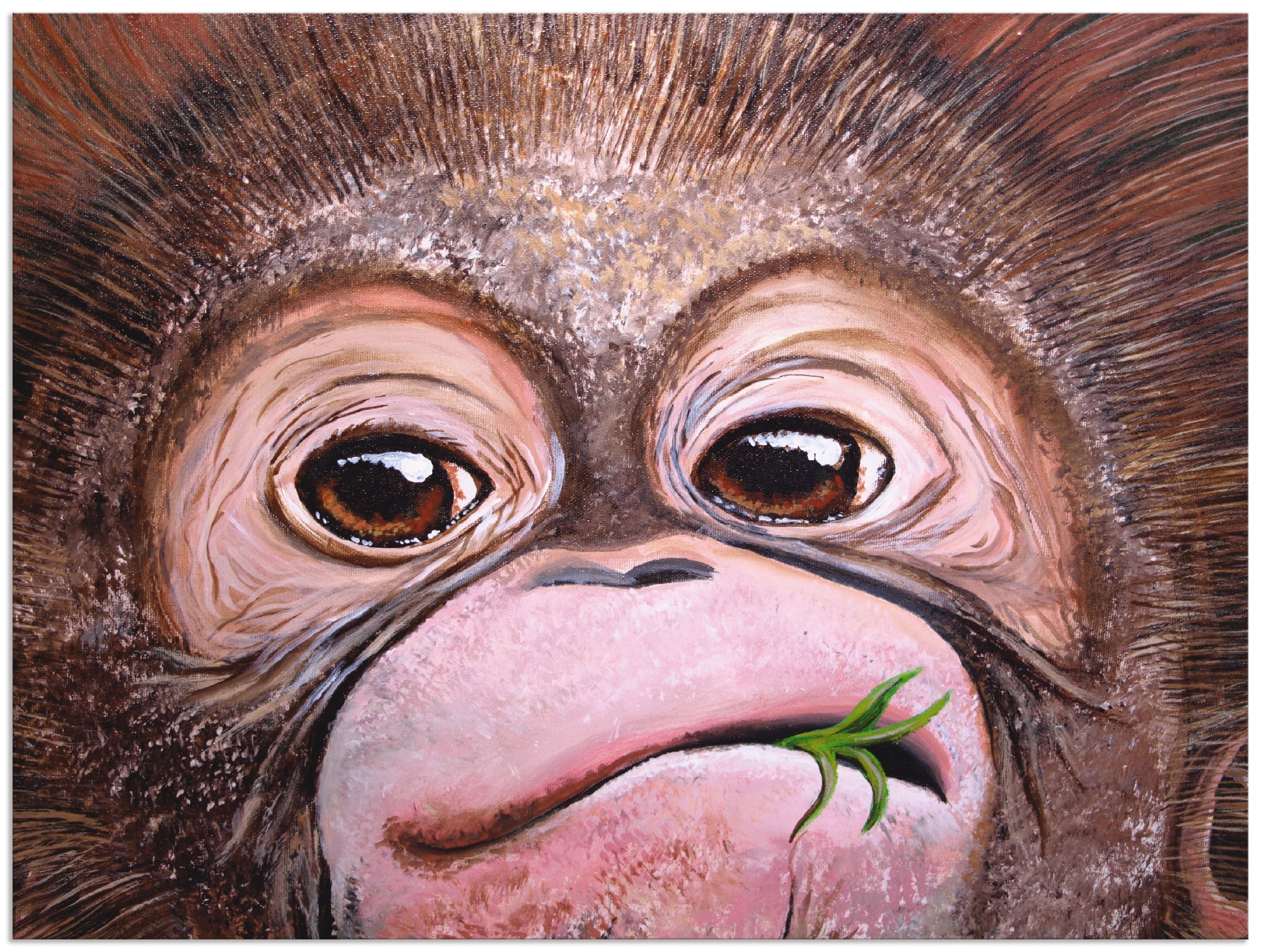 Artland Wandbild »Äffchen«, Wildtiere, (1 St.), in vielen Größen & Produktarten - Alubild / Outdoorbild für den Außenbereich, Leinwandbild, Poster, Wandaufkleber / Wandtattoo auch für Badezimmer geeignet