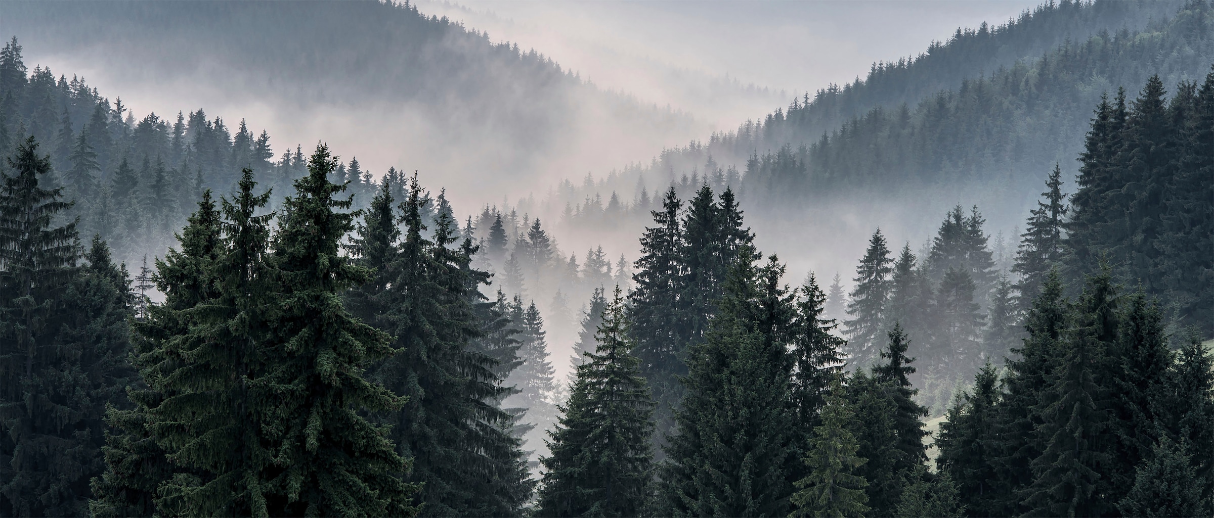 Leinwandbild »Berglandschaft«, (1 St.)