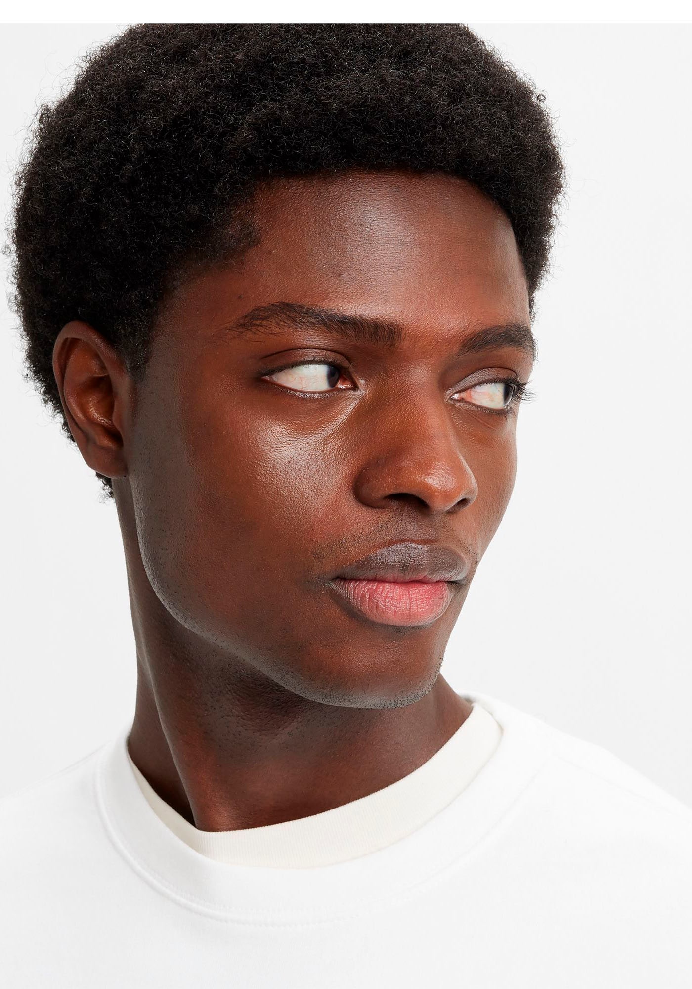 Levi's® Sweatshirt »RELAXD GRAPHIC CREW«