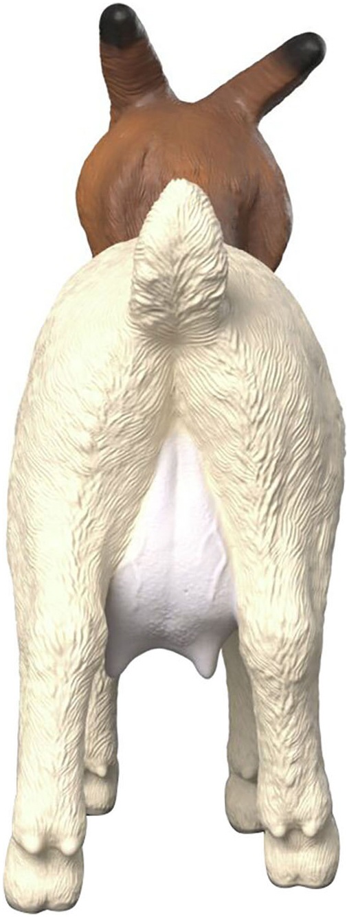 Schleich® Spielfigur »FARM WORLD, Burenziege (14929)«