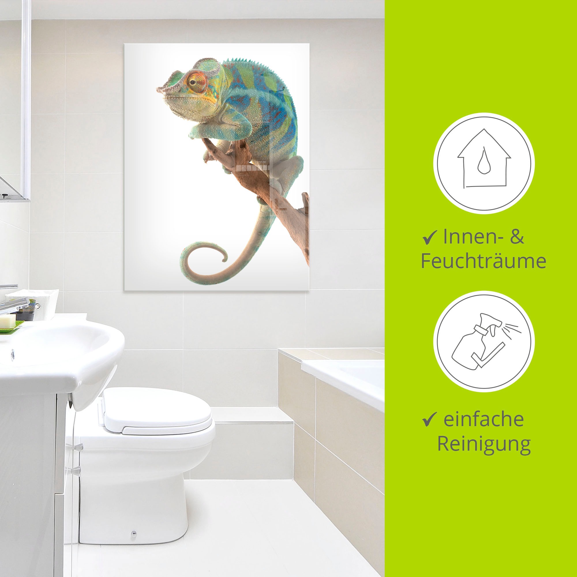 Artland Glasbild »Ambanja Panther Chamäleon«, Reptilien, (1 St.), in verschiedenen Größen
