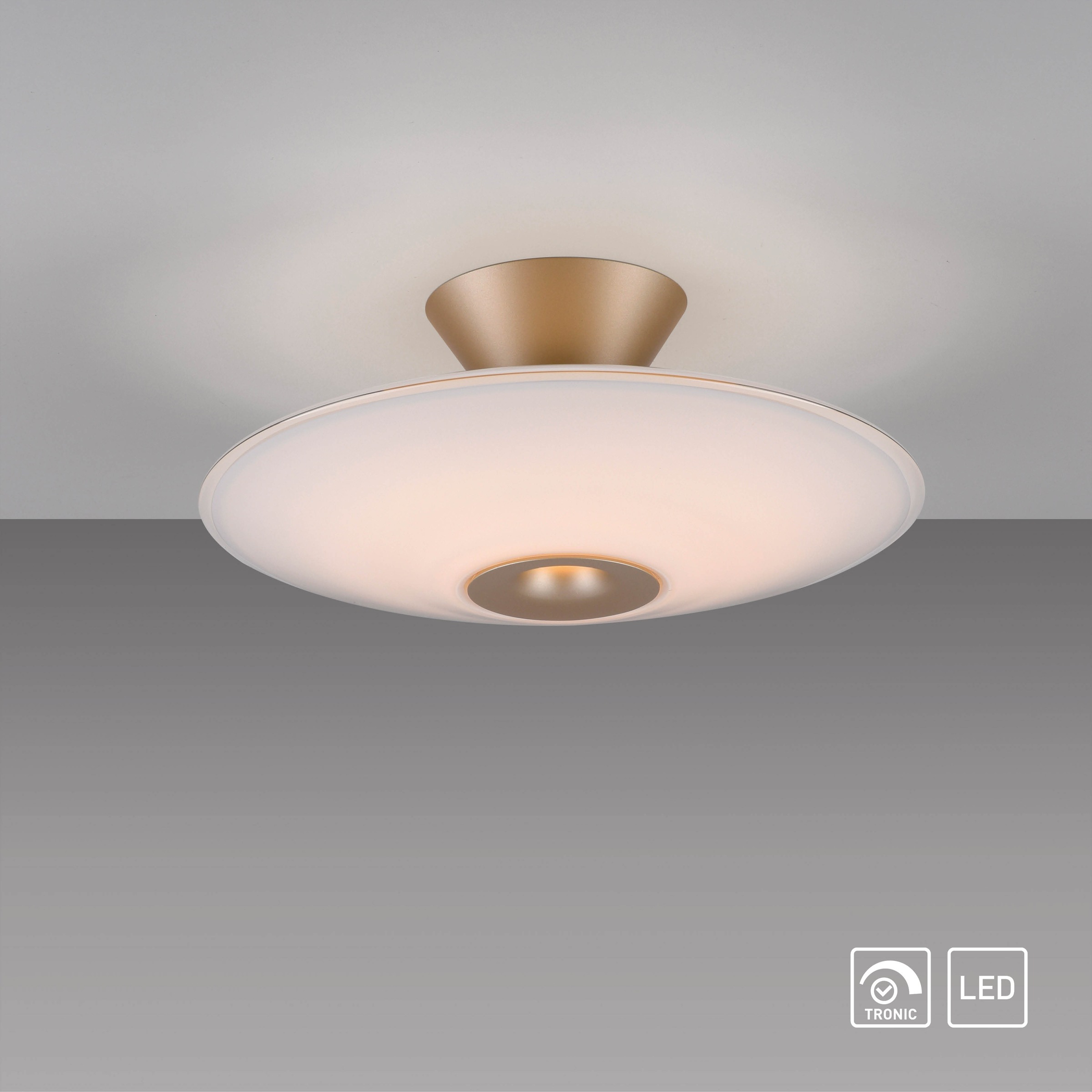 Paul Neuhaus LED Deckenleuchte »ELIPSA« LED-Board 1 Stk. Warmweiß Dimmfähig über separaten Tronicdimmer, Opalglas