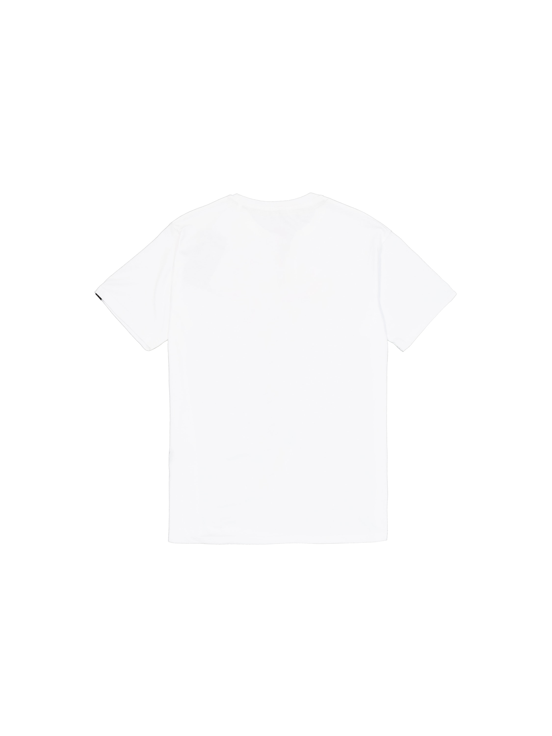 Alpha Industries T-Shirt »Basic Mid Logo TPU T-Shirt«