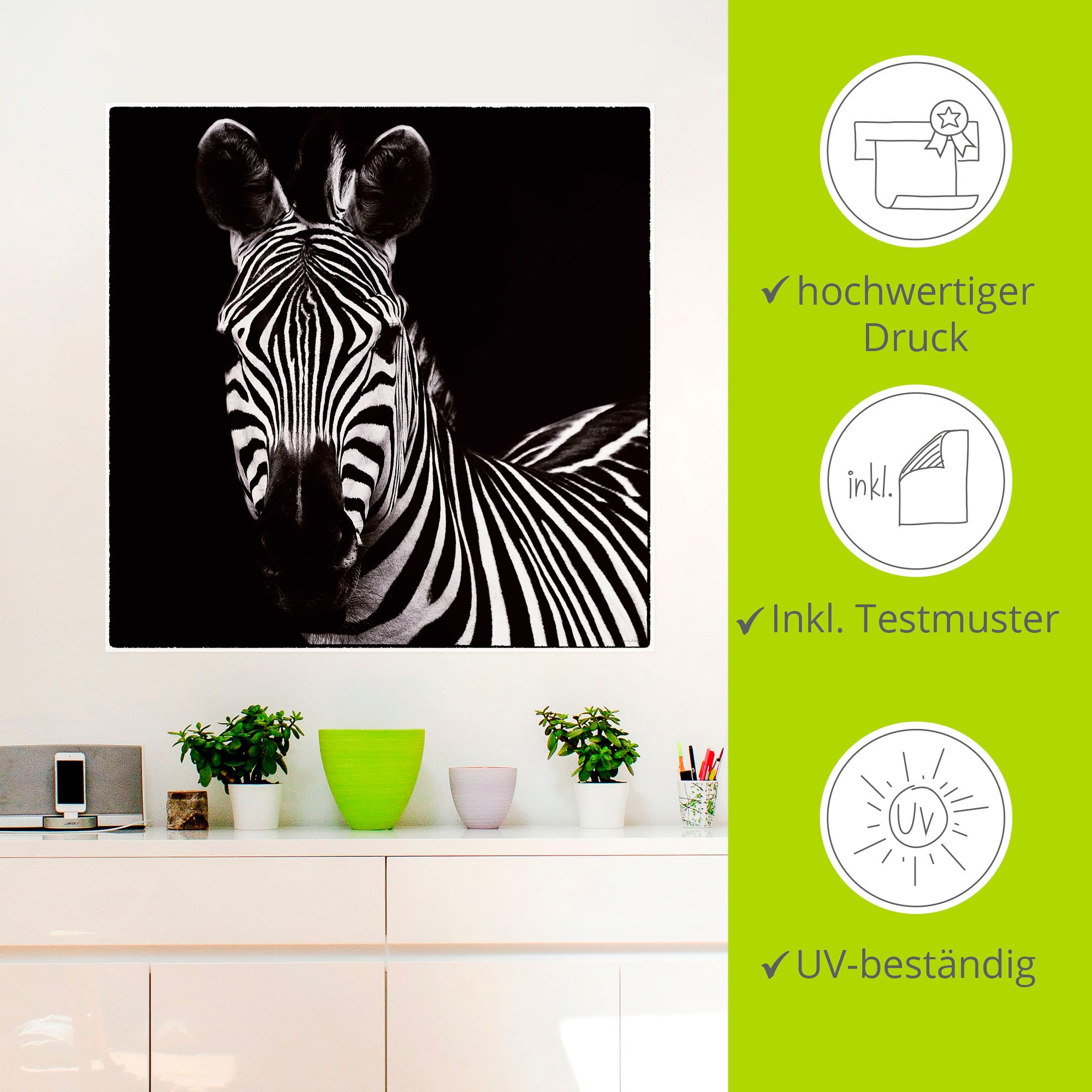 Artland Wandbild »Zebra II«, Wildtiere, (1 St.), als Leinwandbild, Wandaufkleber in verschied. Größen