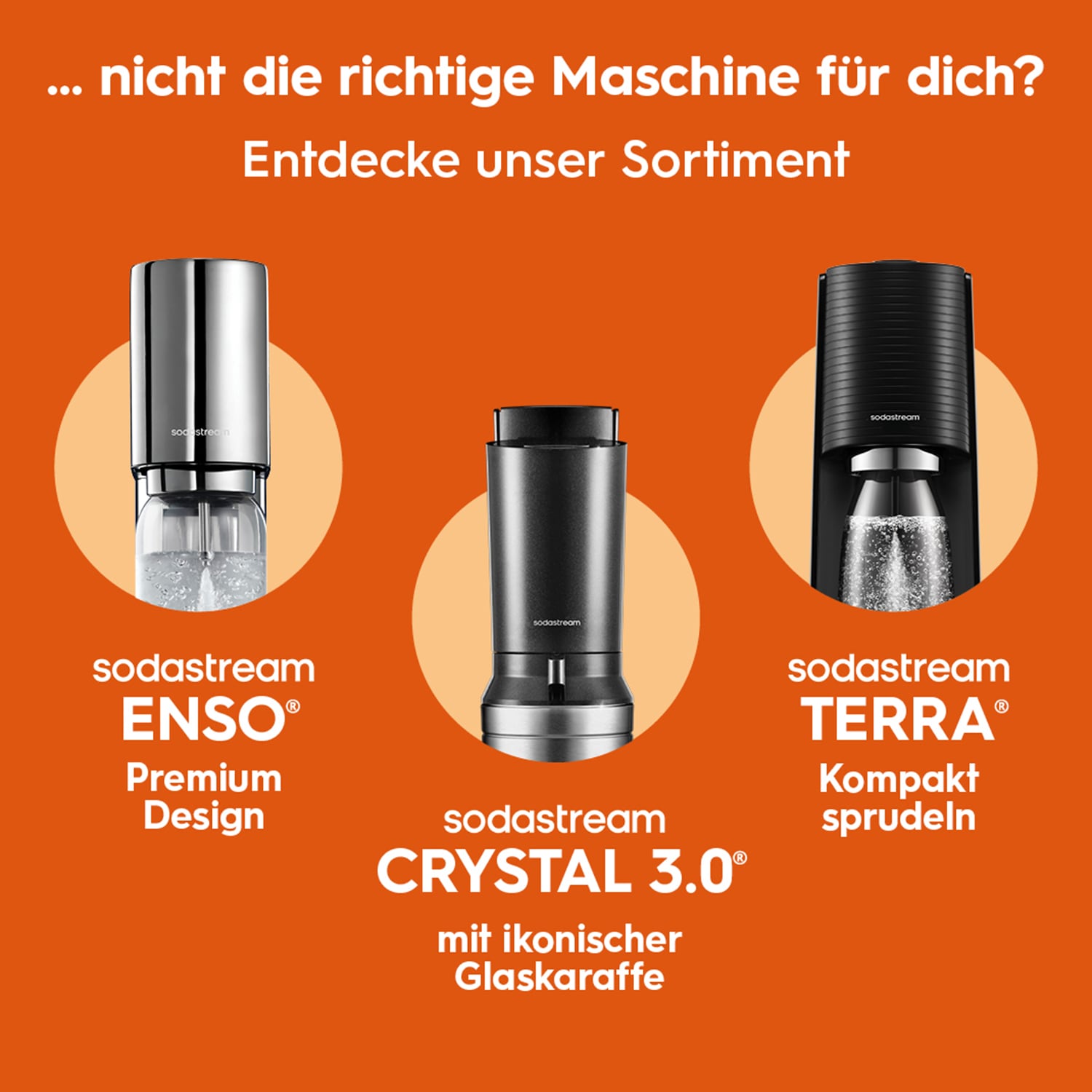 SodaStream Wassersprudler »DUO Wassersprudler titan, Vorteilspack XL« Glas- und Kunststoffflaschen nutzbar, DUO-Paket mit 4 Flaschen