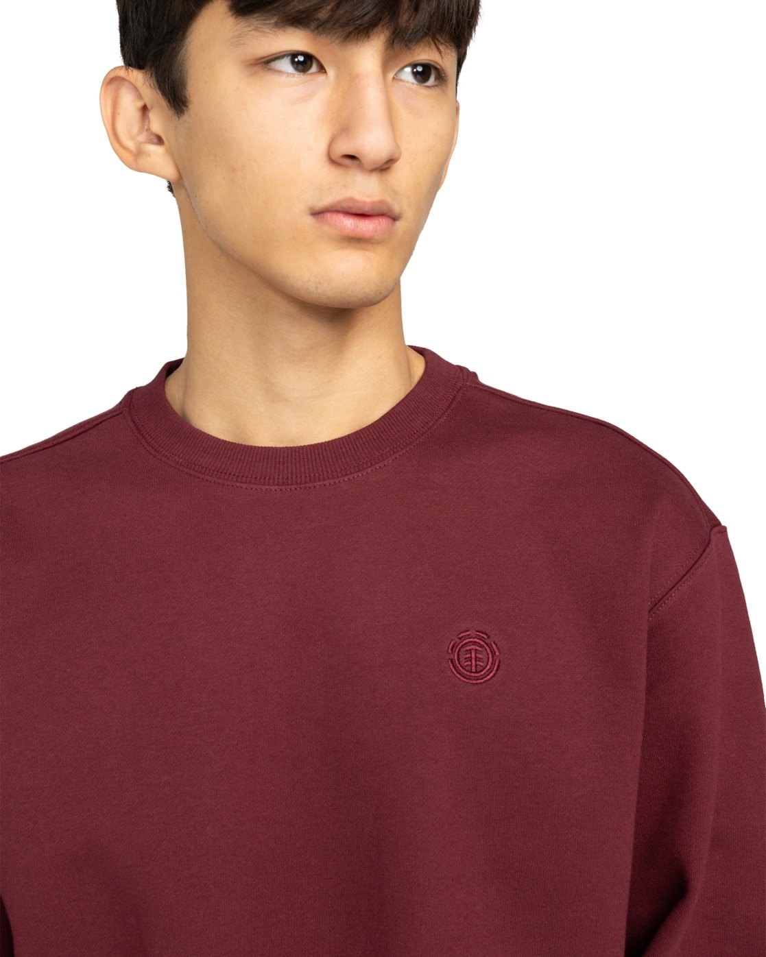 Element Sweatshirt »Aligator«