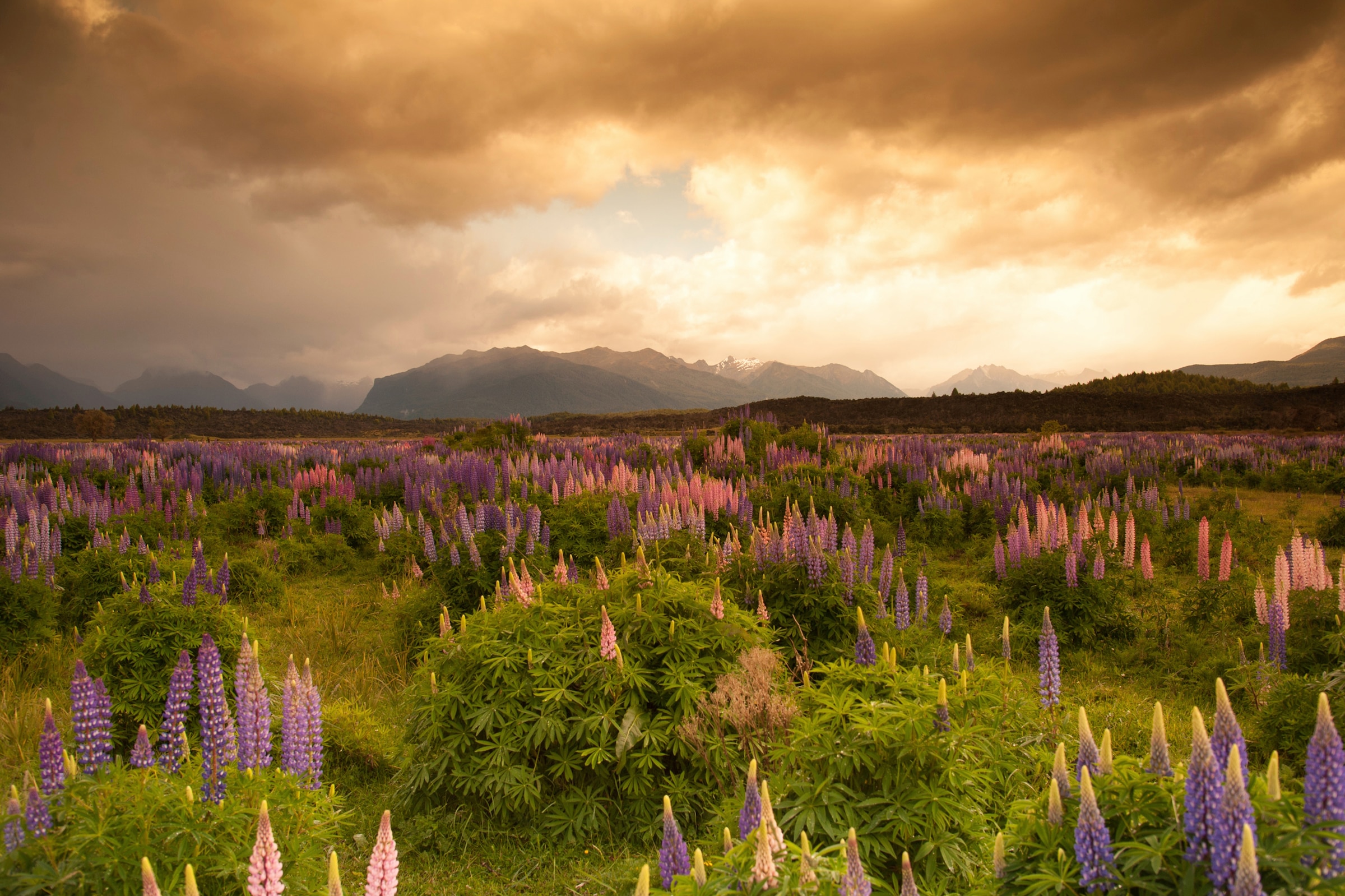 Fototapete »GEBIRGE-FLUSS SEE BERGE WALD HIMMEL BACH WIESE BLUMEN«