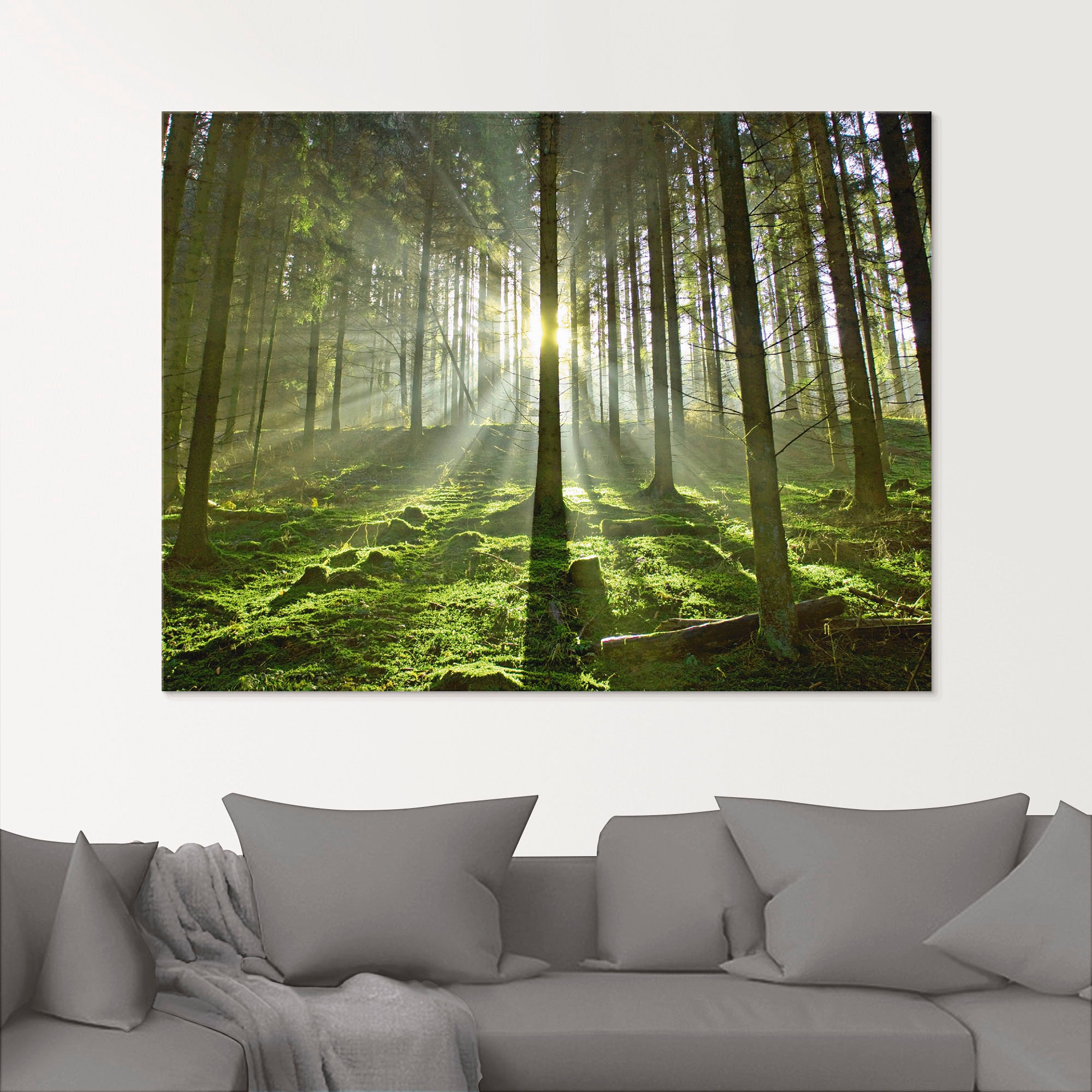 Artland Glasbild »Wald im Gegenlicht«, Wald, (1 St.), in verschiedenen Größen