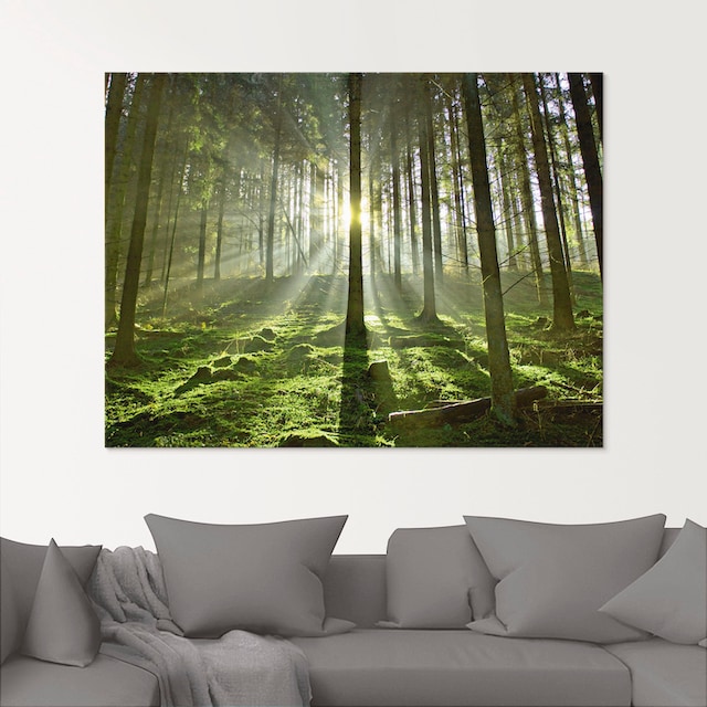 Artland Glasbild »Wald im Gegenlicht«, Wald, (1 St.), in verschiedenen  Größen bestellen im OTTO Online Shop