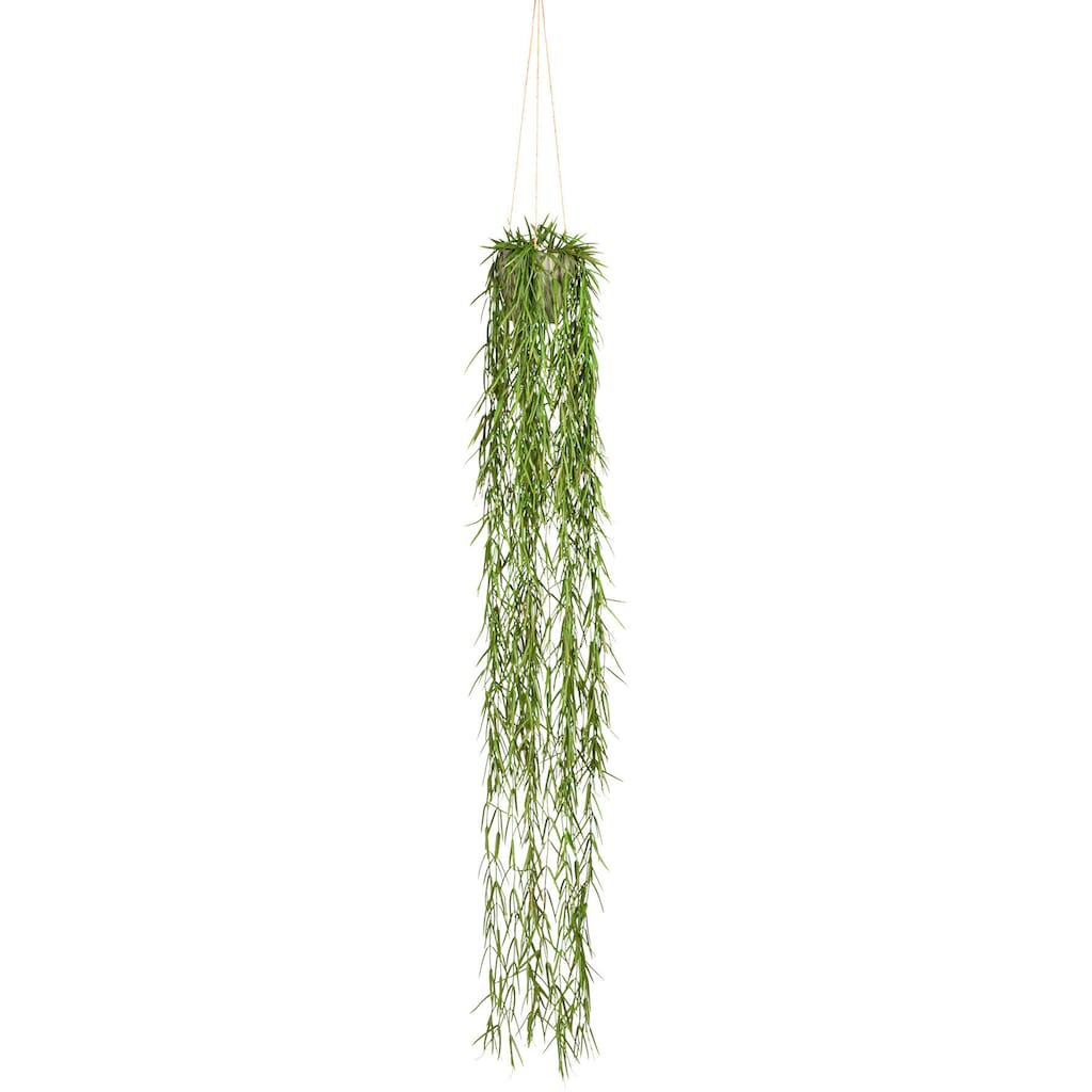 Creativ green Kunstranke »Tillandsia aeranthos im Hängetopf«