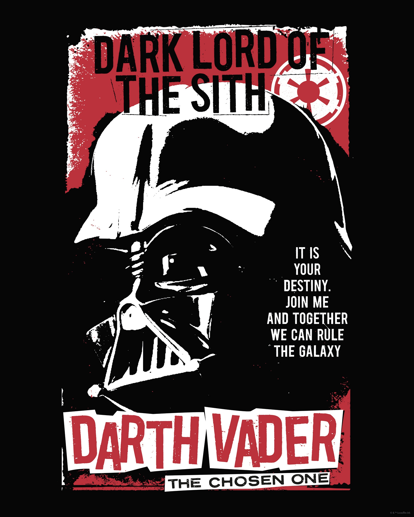 Komar Wandbild »Star Wars Darth Vader The Chosen One«, Disney, (Set, 1 St.), 40 x 50 cm (Breite x Höhe) - Kinderzimmer, Dekoration