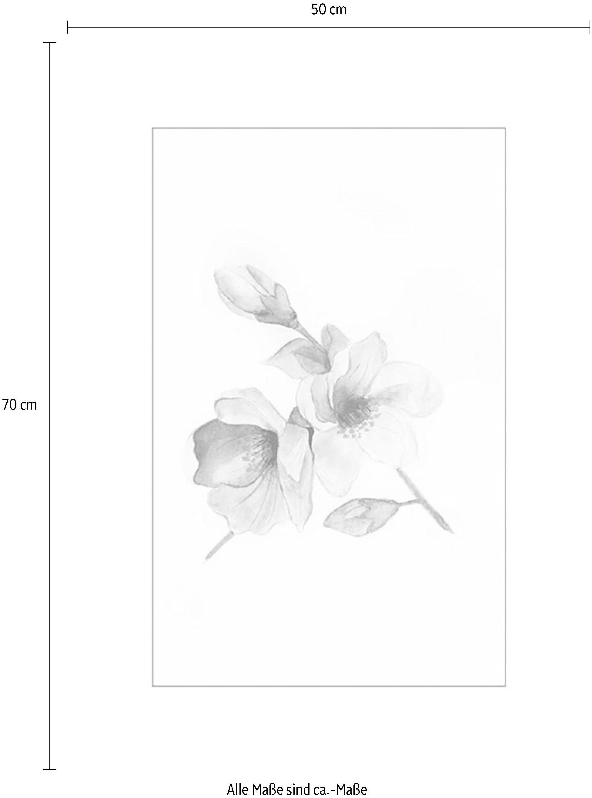Komar Bild »Magnolia Breathe«, Blumen, (1 St.), Wandbild zur Dekoration - ohne Rahmen
