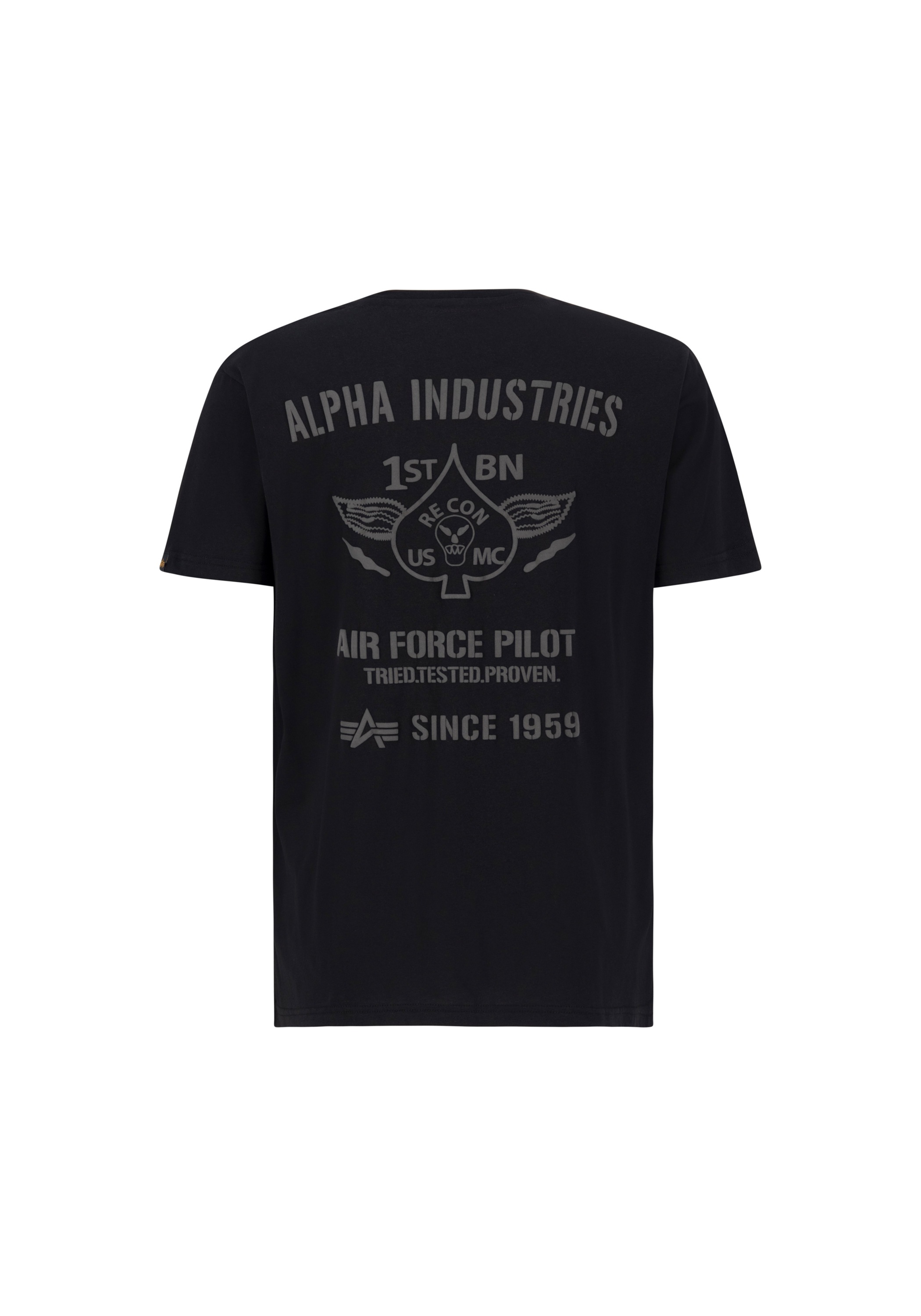 Alpha Industries T-Shirt »Alpha Industries Men - T-Shirts Air Force Pilot T-Shirt«