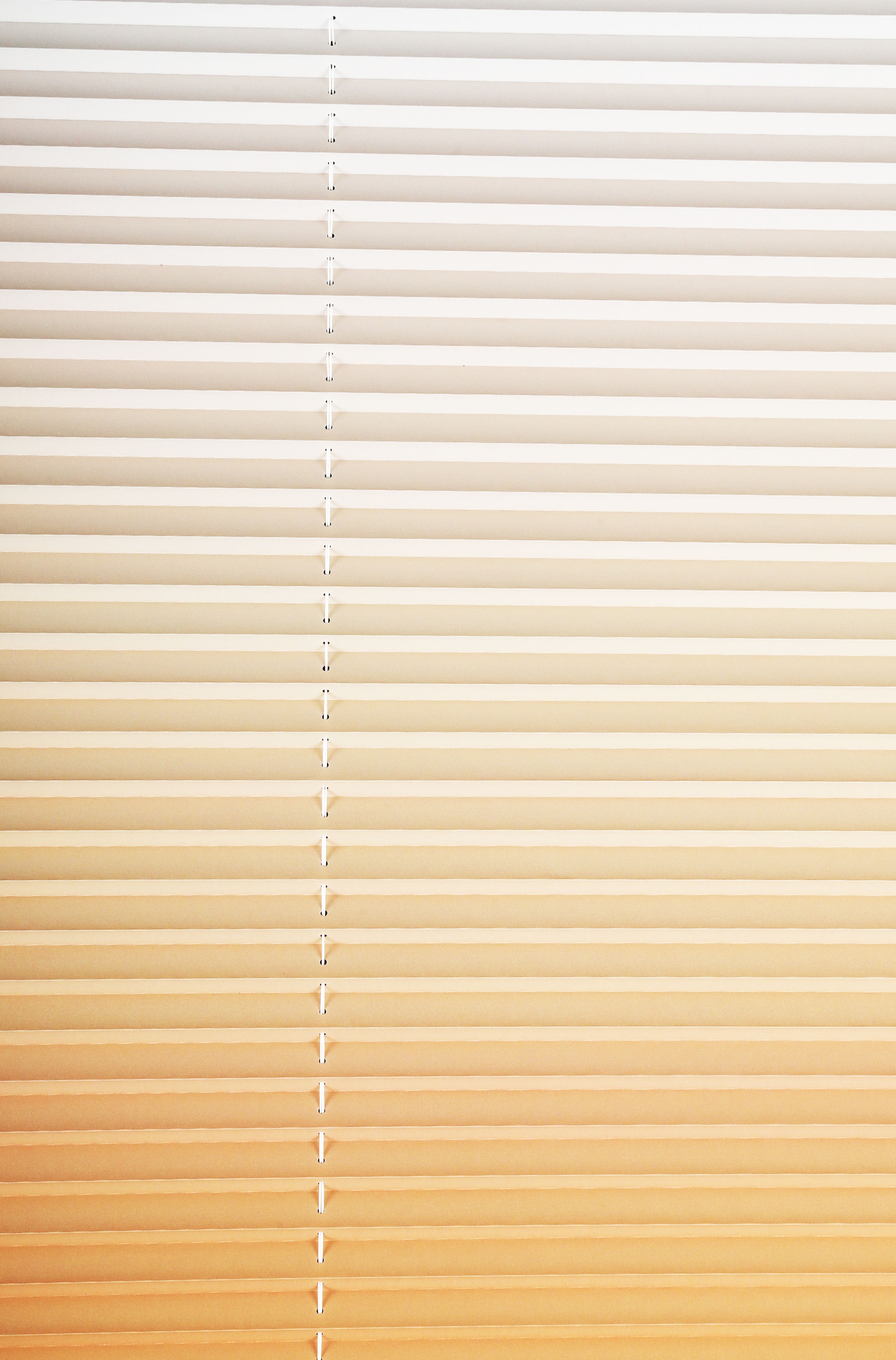 my home Plissee »Ombré«, Lichtschutz, ohne Bohren, verspannt, Fixmaß, Farbverlauf, Klemmträger