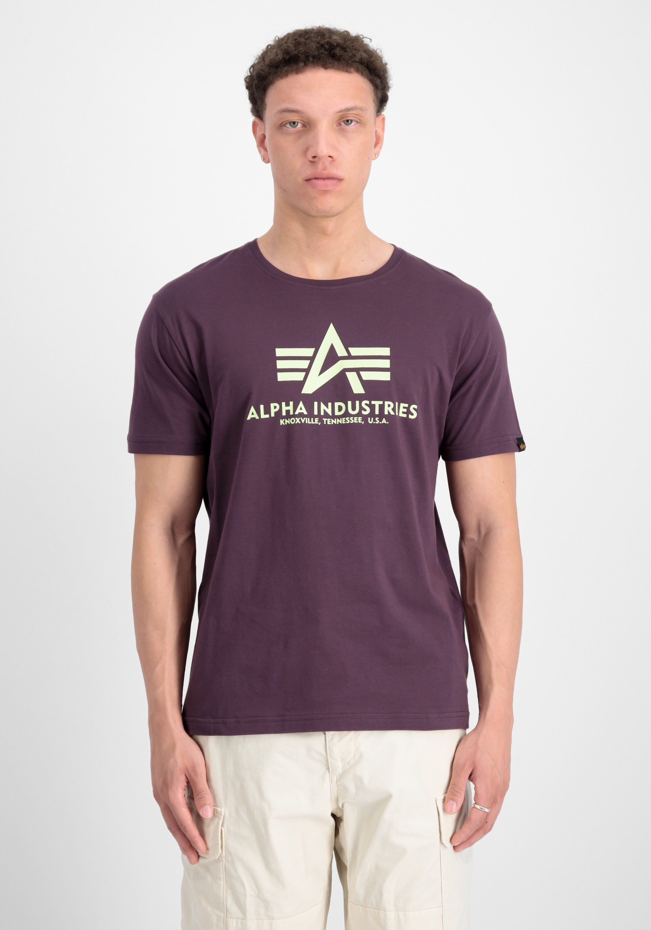 Alpha Industries T-Shirt »Basic T-Shirt BL«