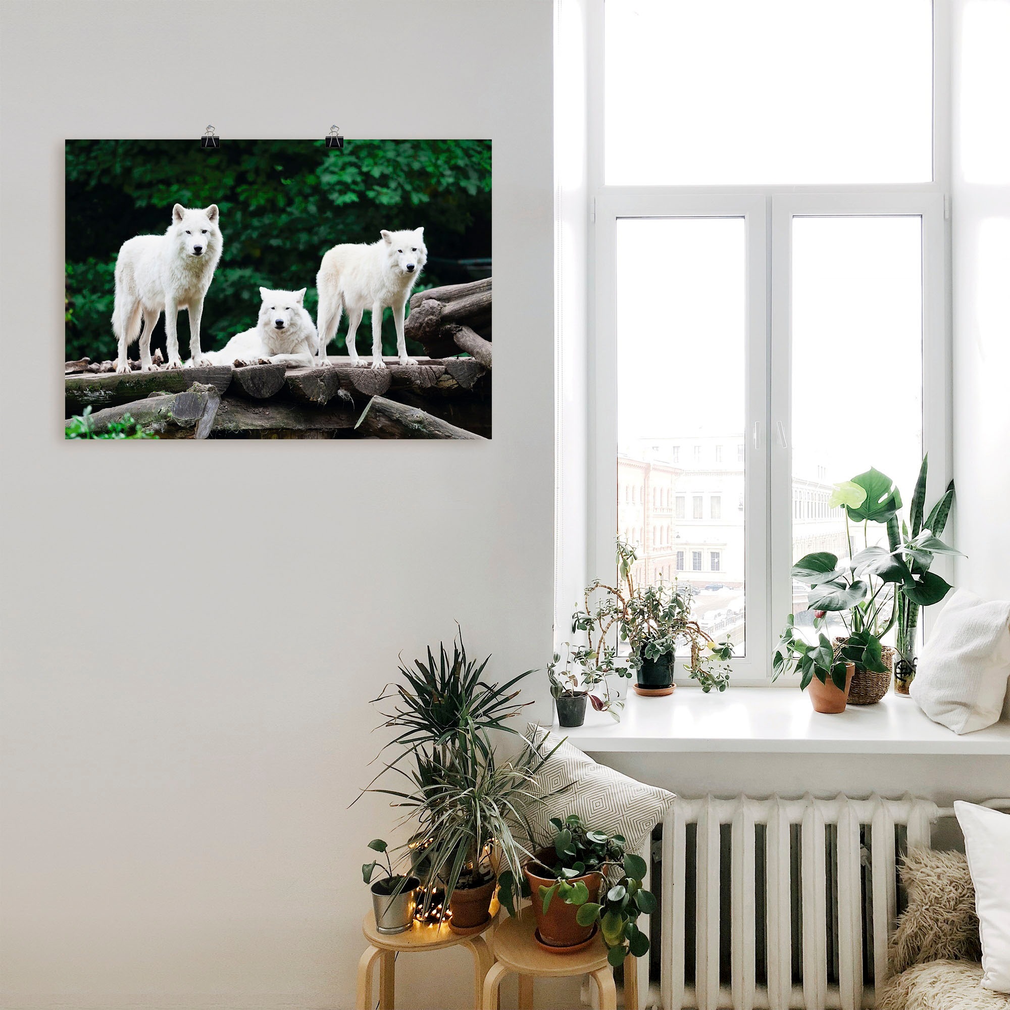 Artland Wandbild »Arktische Wölfe« Wildtiere 1 Stk. tlg. als Leinwandbild, Poster in verschied. Größen