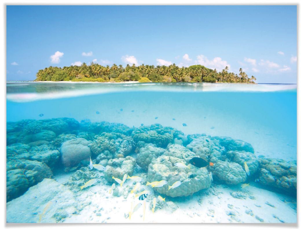 Meer, OTTO Poster, »Unterwasserwelt St.), (1 Wandbild, Poster Wall-Art Bild, Shop Online bestellen Malediven«, im Wandposter