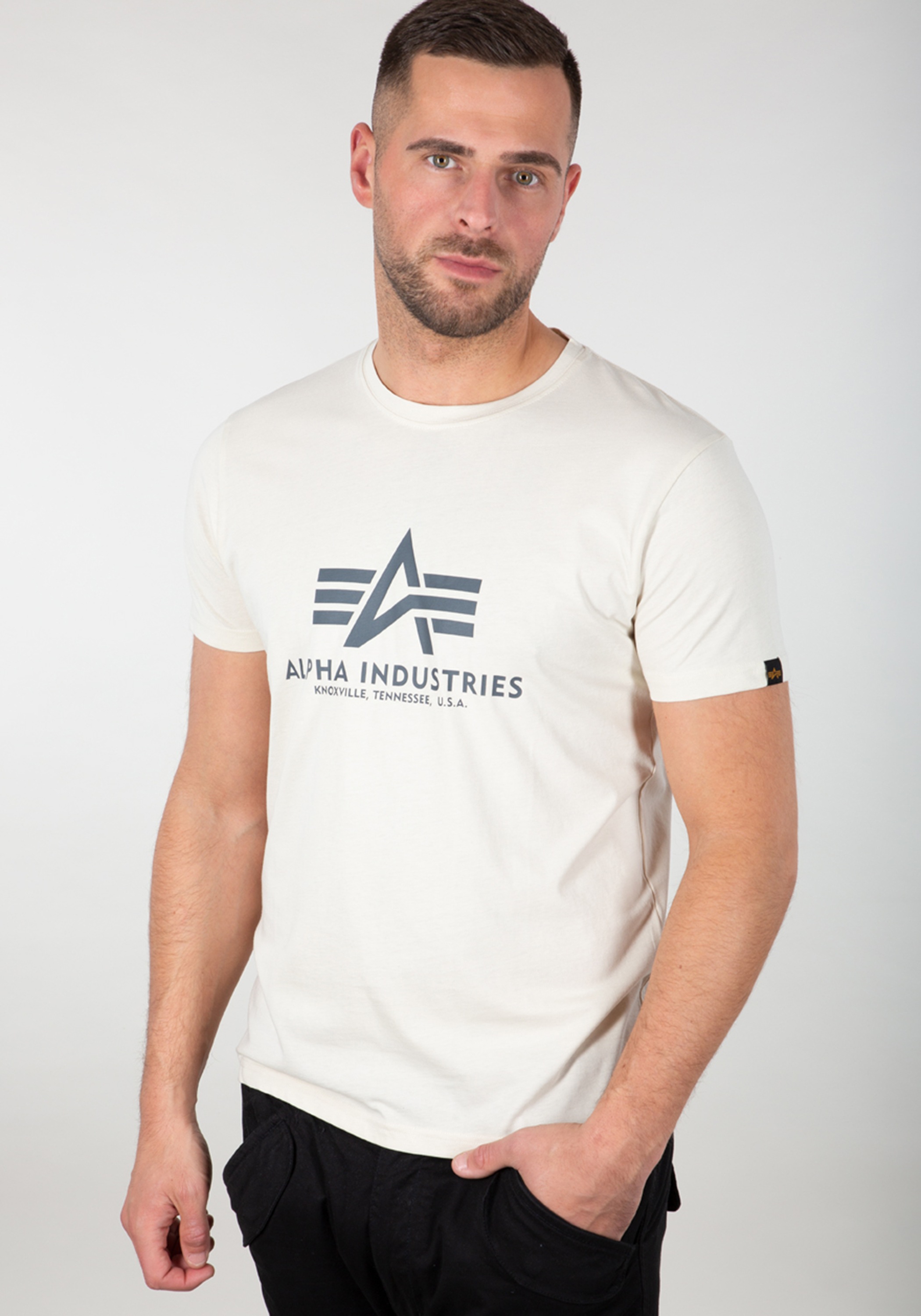 Alpha Industries T-Shirt »Basic T-Shirt BL«
