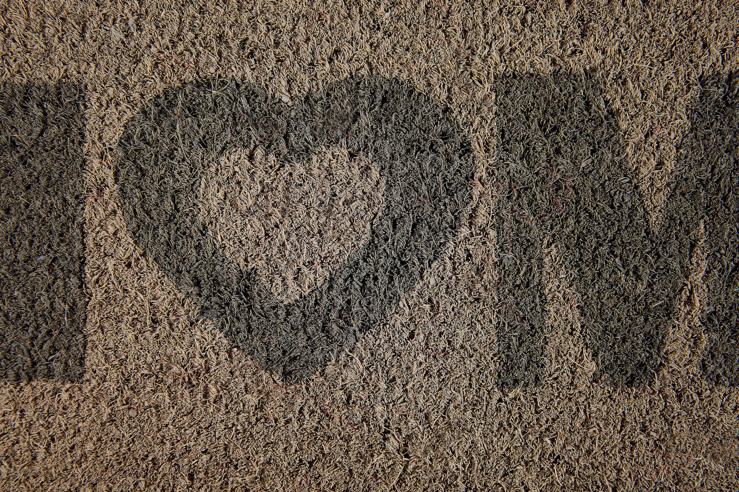 Andiamo Fußmatte »Kokos Home Heart«, rechteckig, 15 mm Höhe, Schmutzfangmatte, Kokosmatte, mit Spruch, In- und Outdoor geeignet